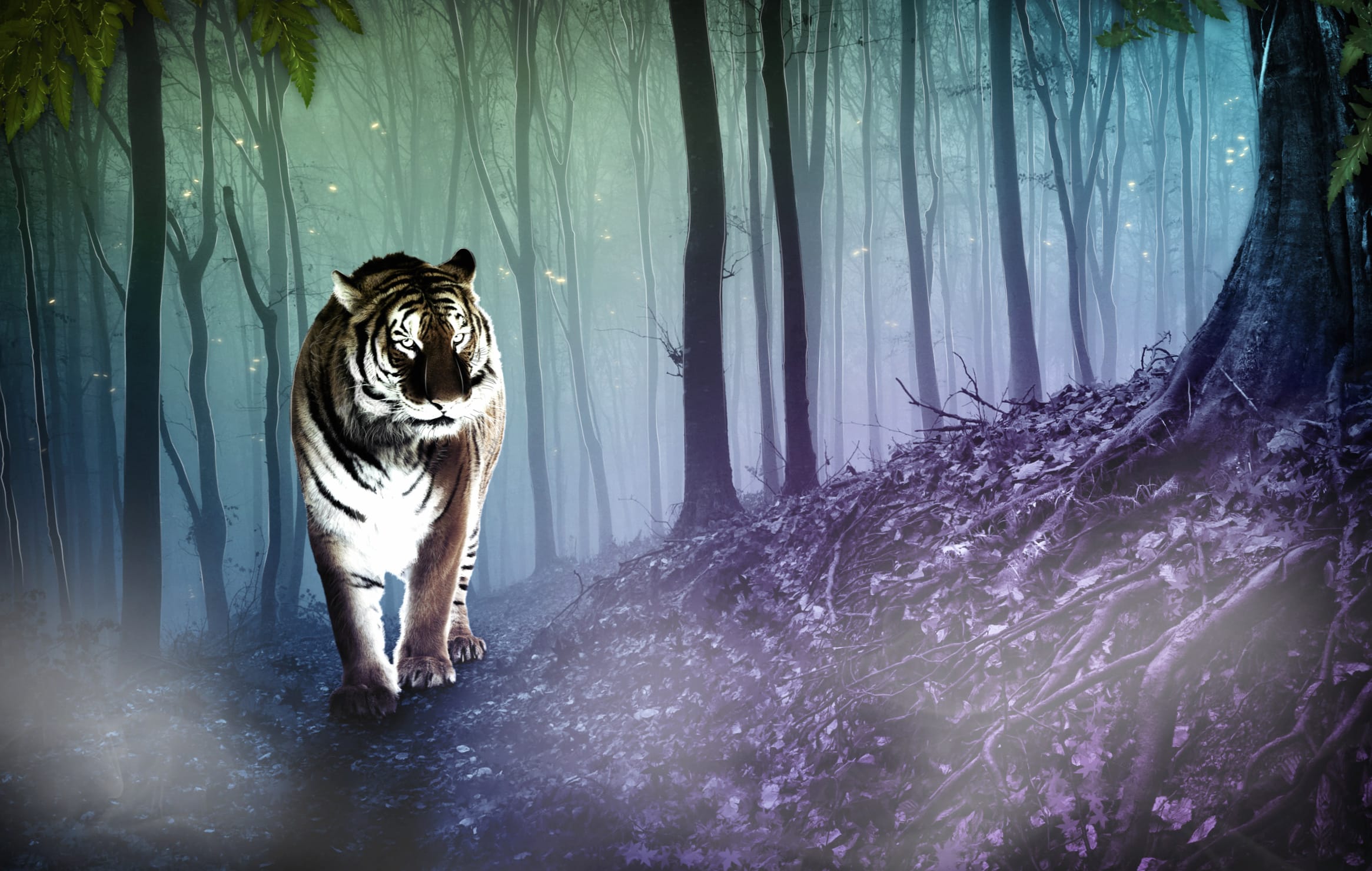 Enchanted Tiger Forest wallpapers HD quality