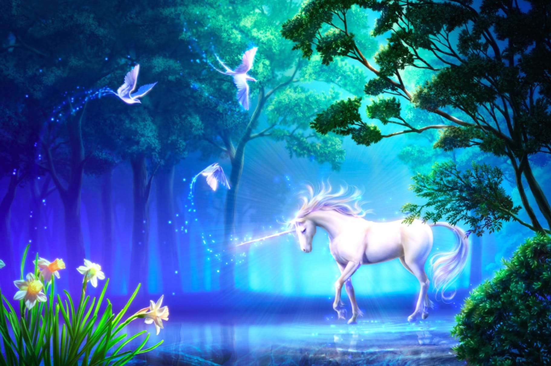 Enchanted Unicorn Fantasy wallpapers HD quality