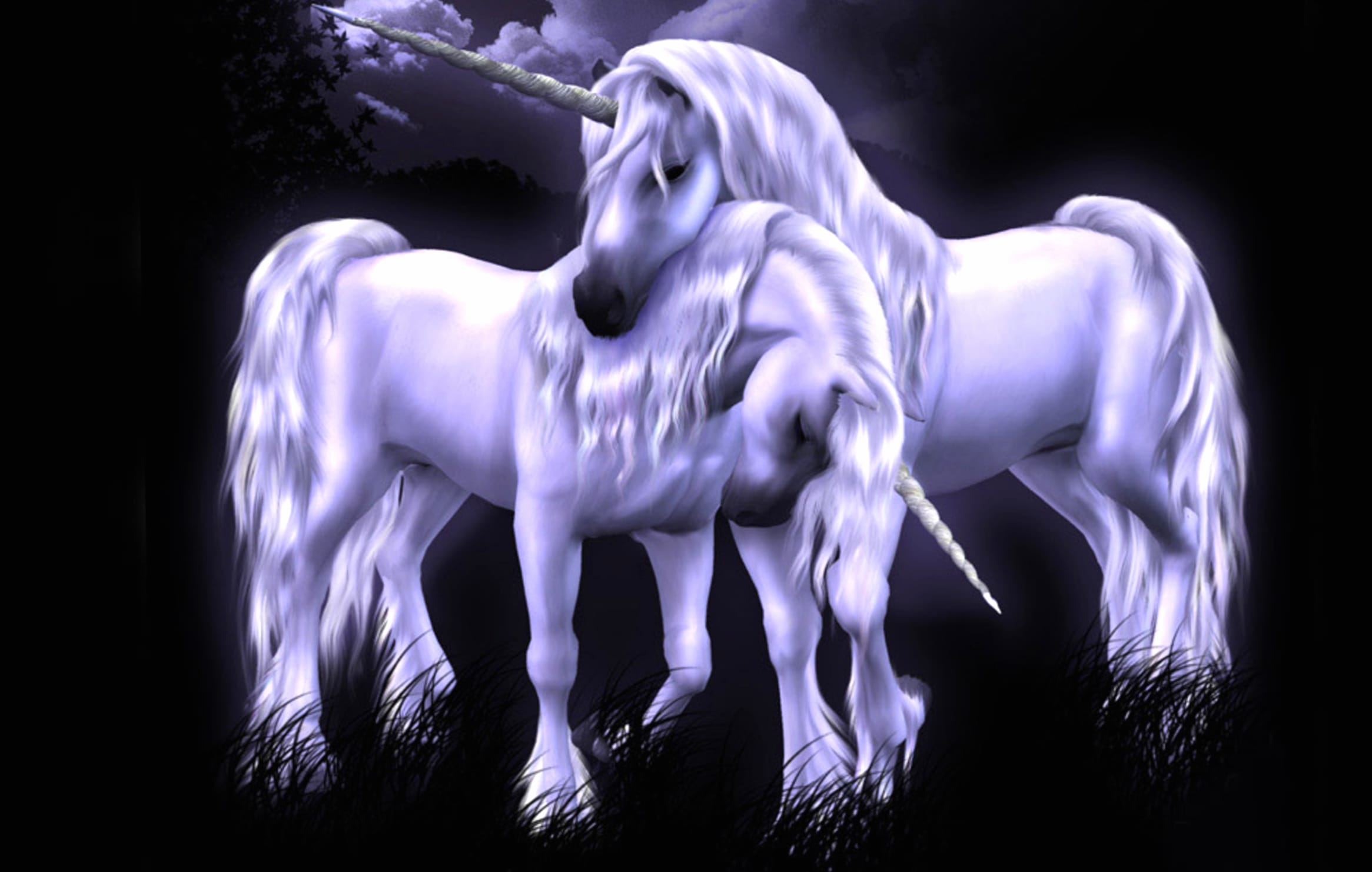 Enchanted Unicorns Fantasy wallpapers HD quality