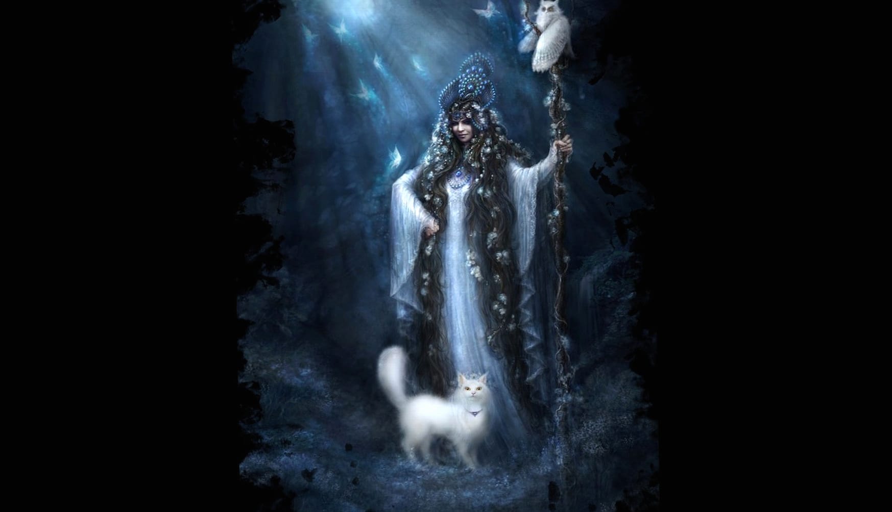 Enchanting Dark Magic of a Witch with Mystical Cats at 320 x 480 iPhone size wallpapers HD quality