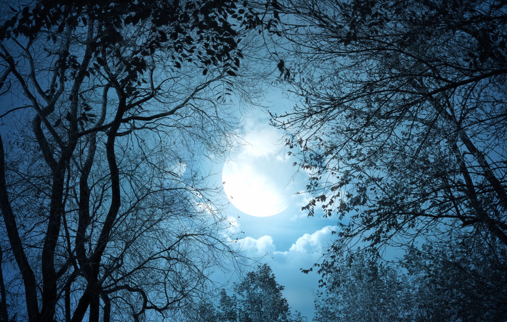 Enchanting Moonlit Fantasy - at 1920 x 1080 HD size wallpapers HD quality