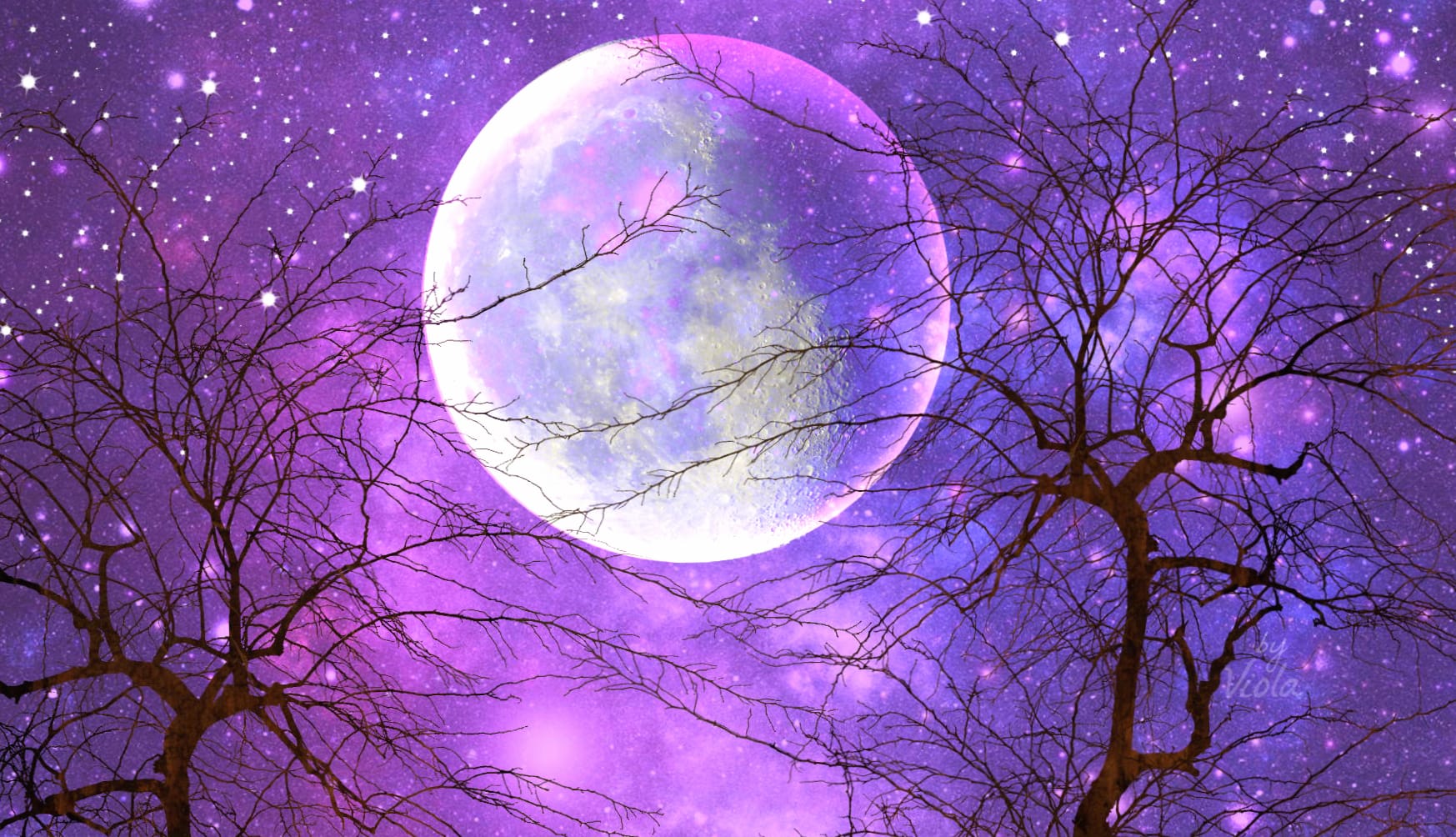 Enchanting Moonlit Trees Under a Starry Purple Sky at 1920 x 1080 HD size wallpapers HD quality