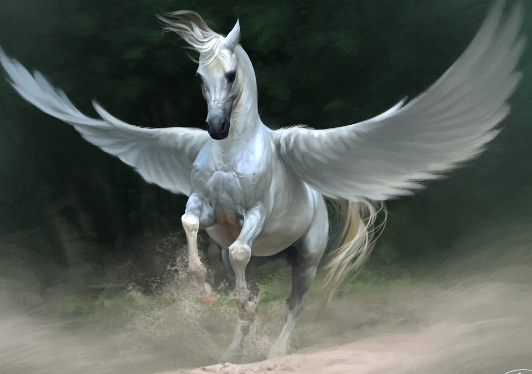 Enchanting Pegasus HD Fantasy Wallpaper wallpapers HD quality