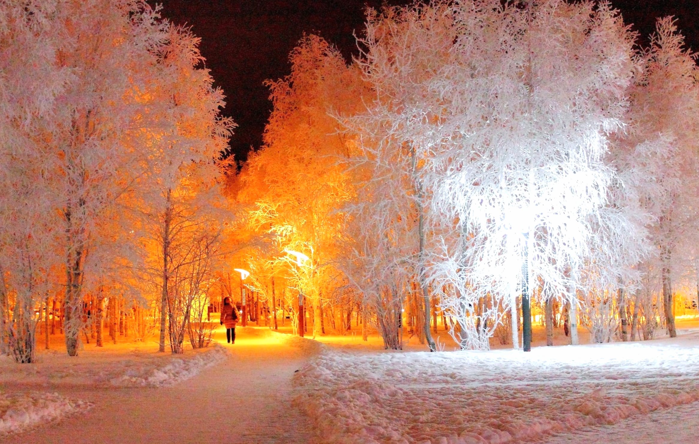 Enchanting Winter Glow at 1600 x 1200 size wallpapers HD quality