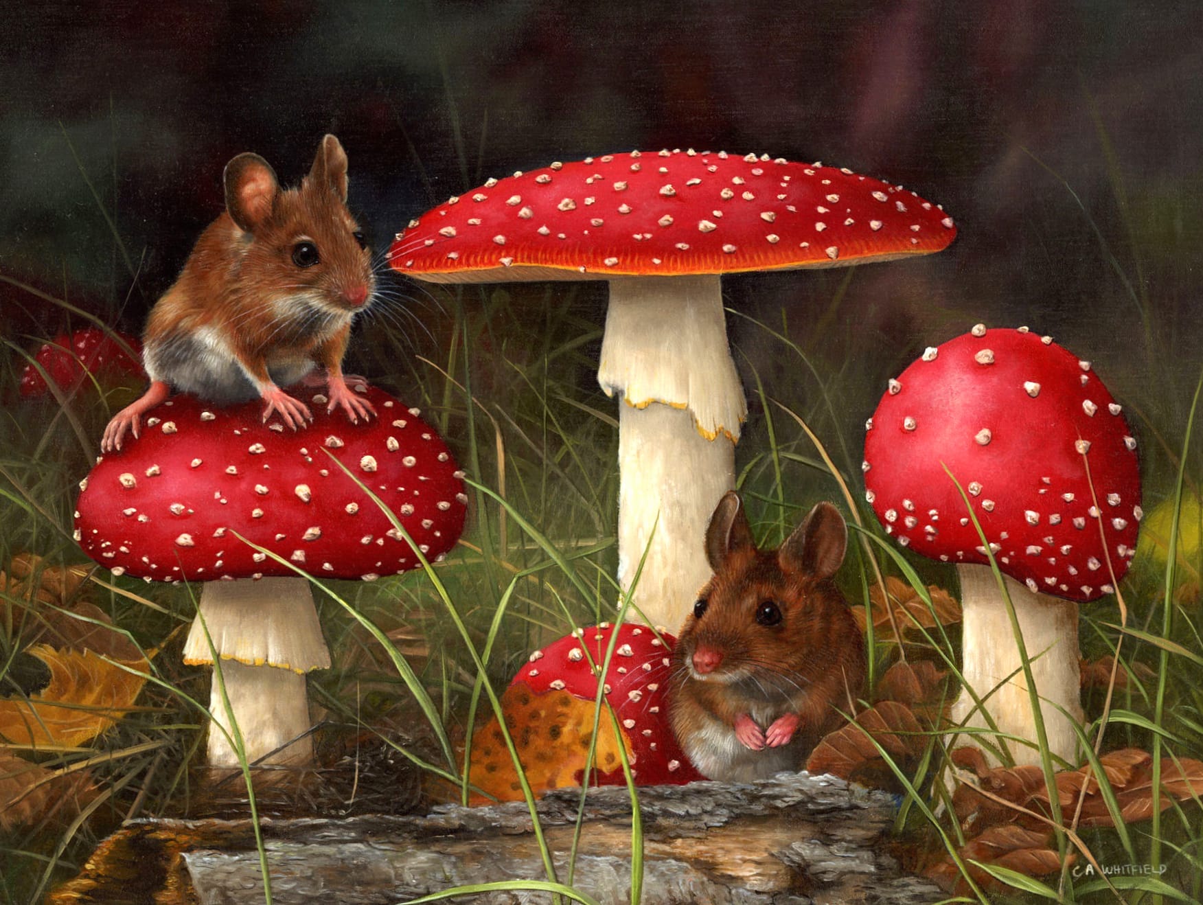 Fall Fantasy Mice Among Mushrooms wallpapers HD quality