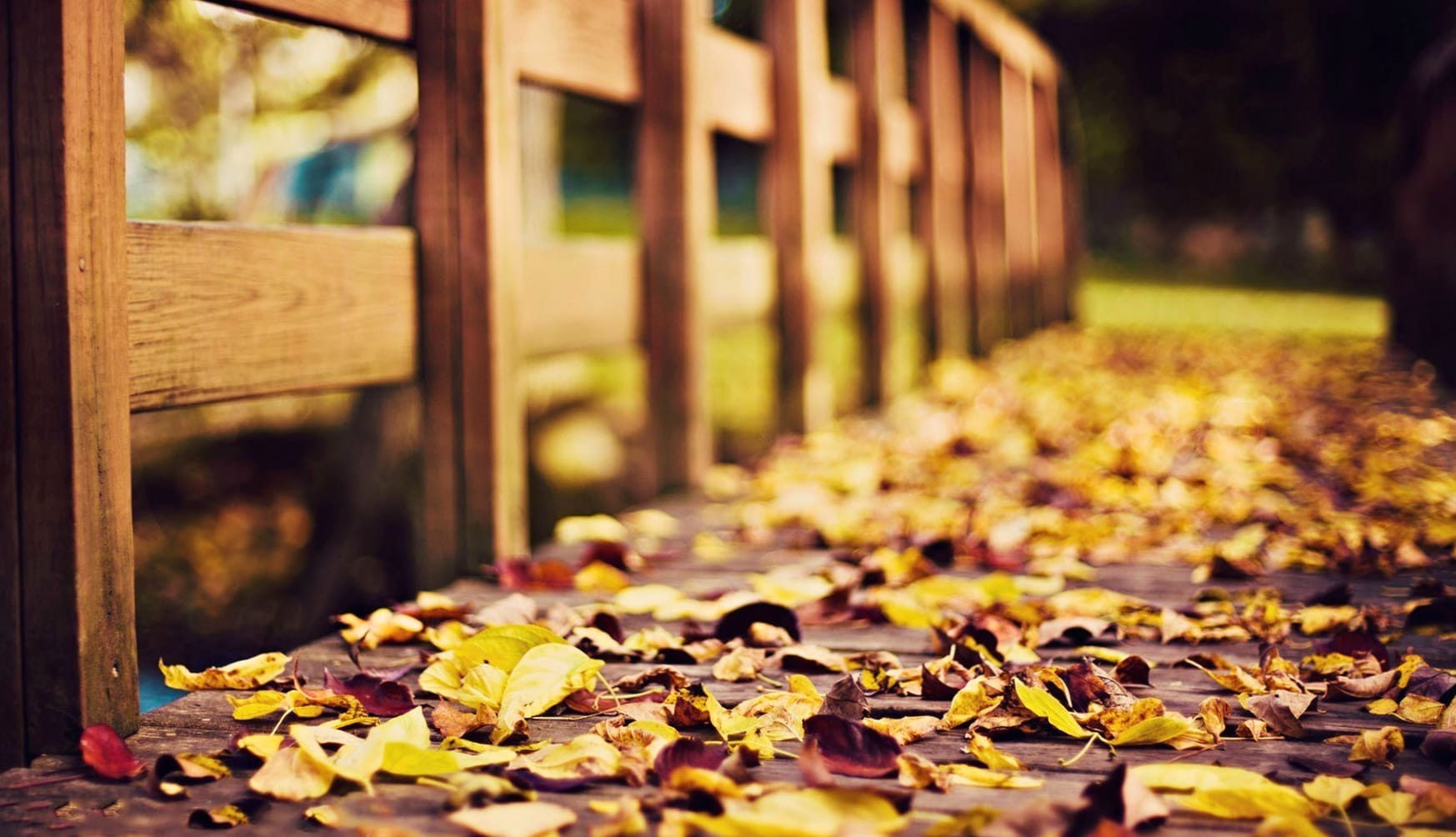 Fall Foliage Bridge - wallpapers HD quality