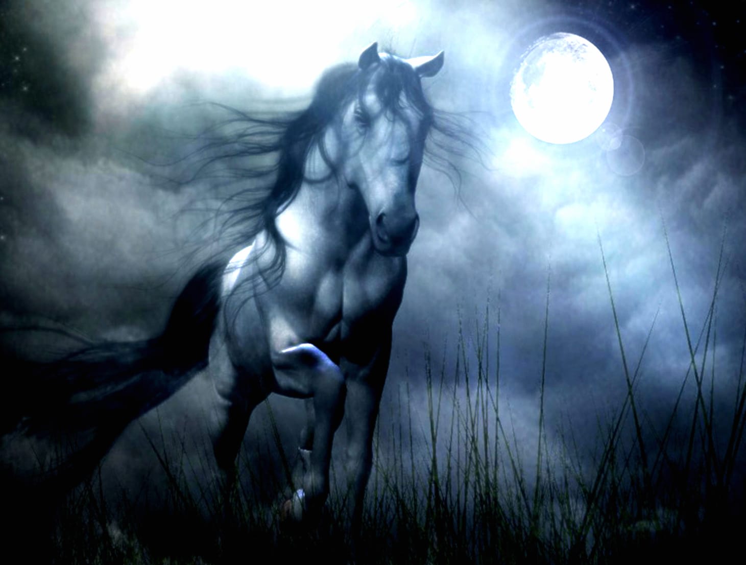 Fantasy Horse Night - wallpapers HD quality