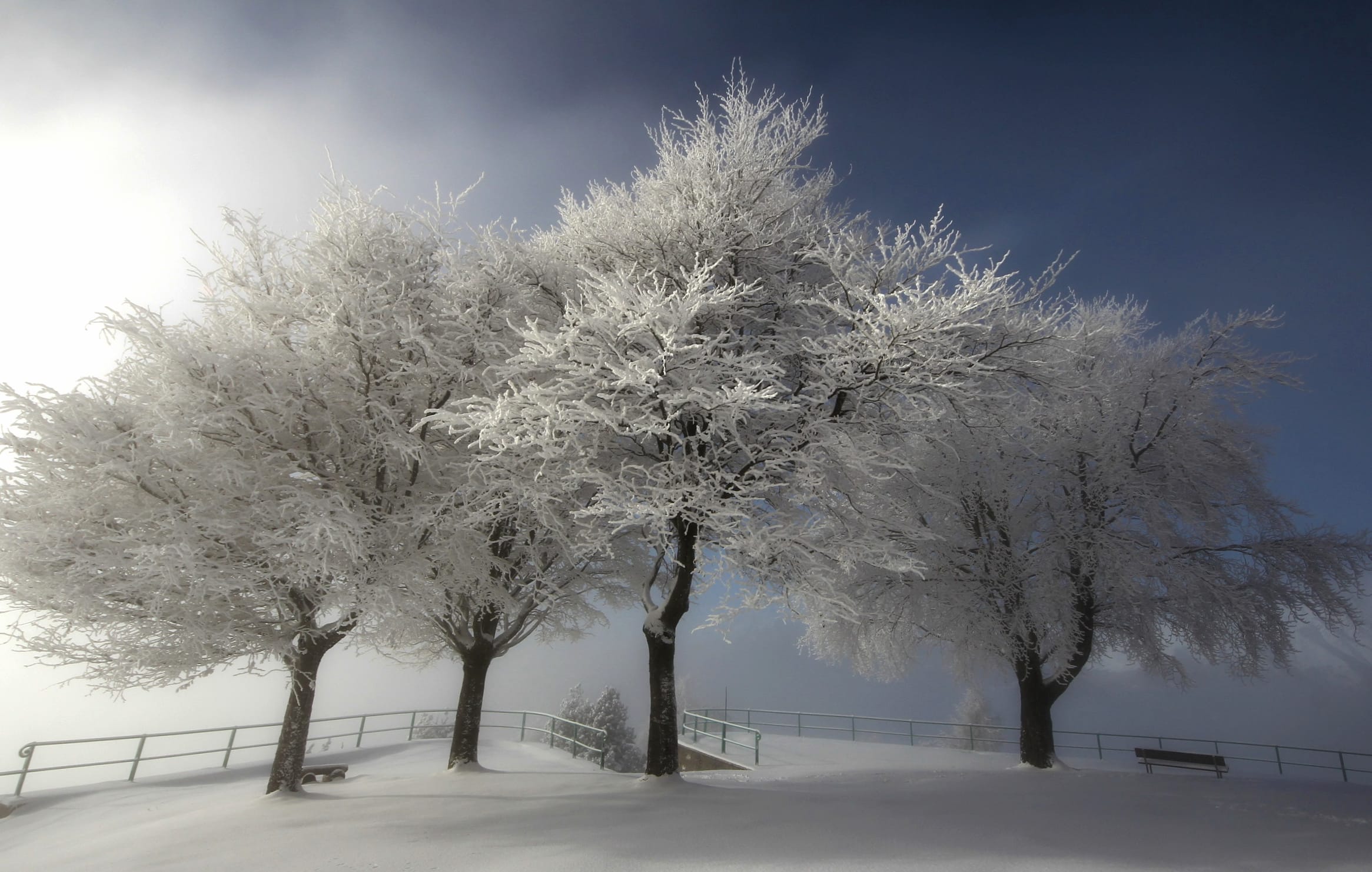 Fence Tree Snow Photography Winter wallpapers HD quality