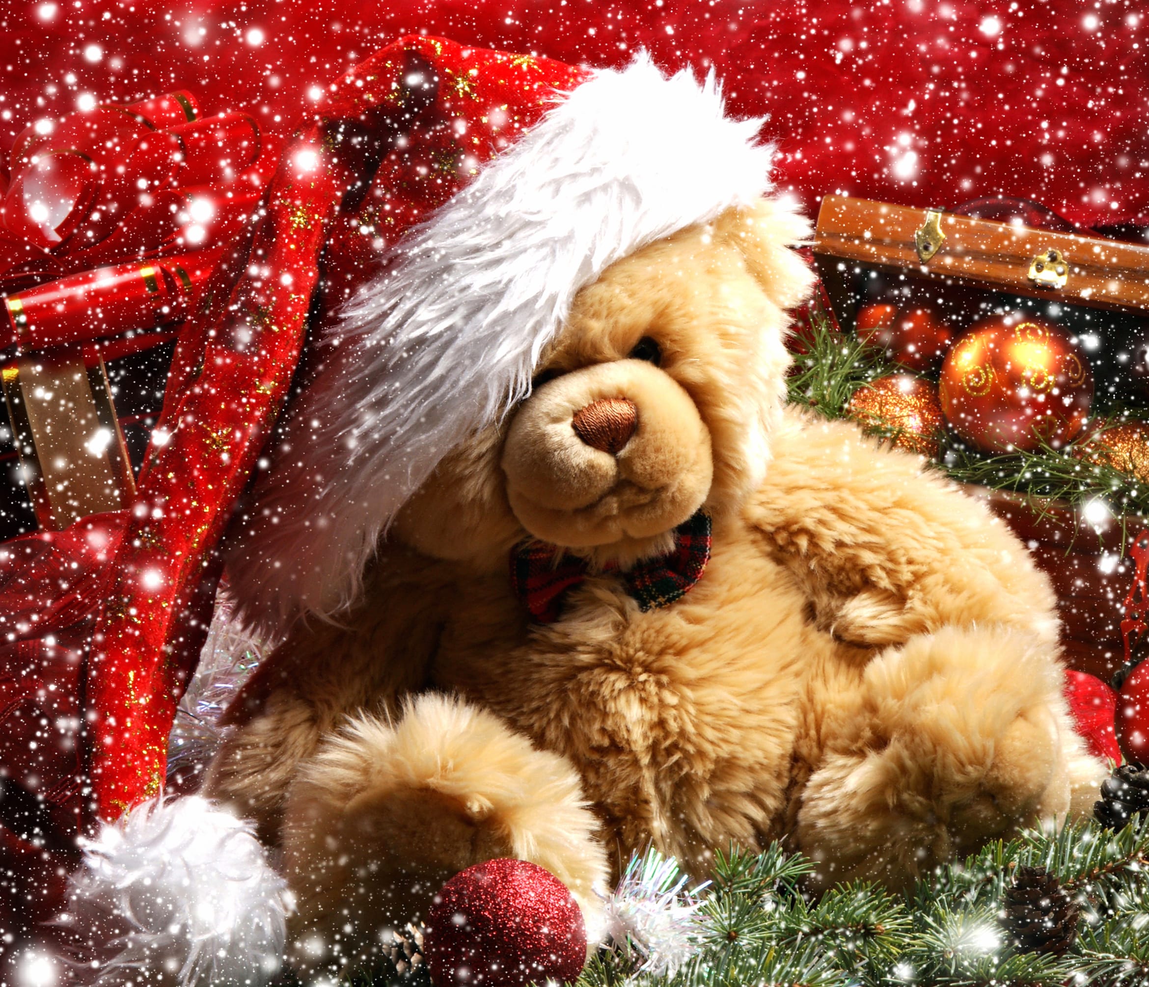 Festive Teddy Bear in Santa Hat - HD Christmas Wallpaper wallpapers HD quality