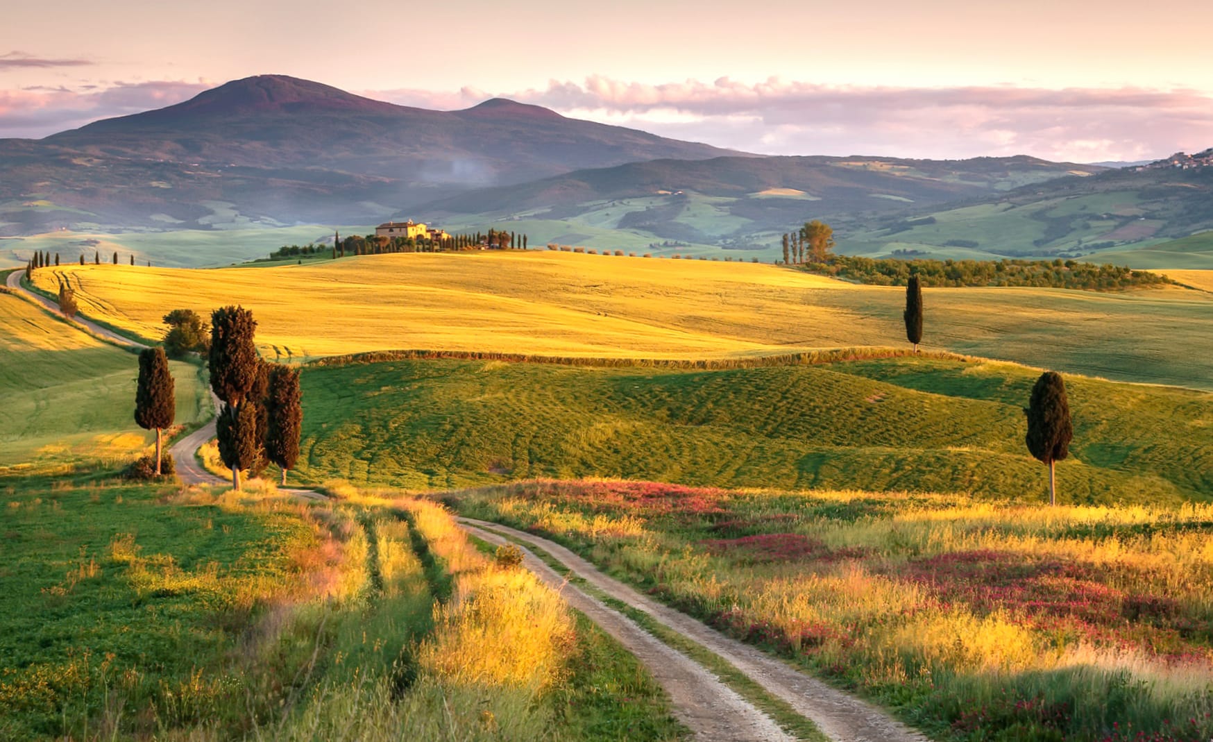 Field Landscape Hill Italy Nature Photography Tuscany wallpapers HD quality