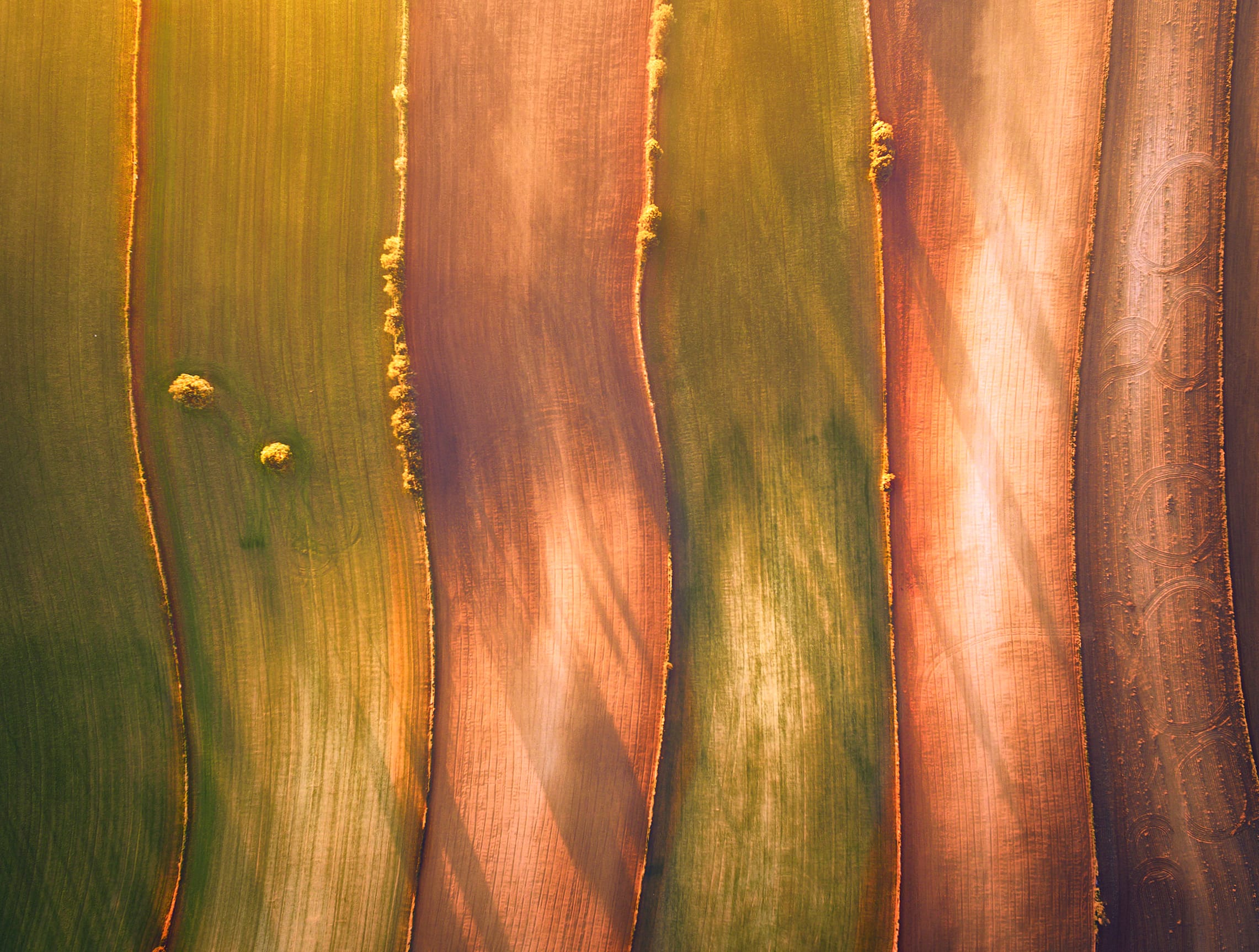 Field Nature Photography Aerial wallpapers HD quality