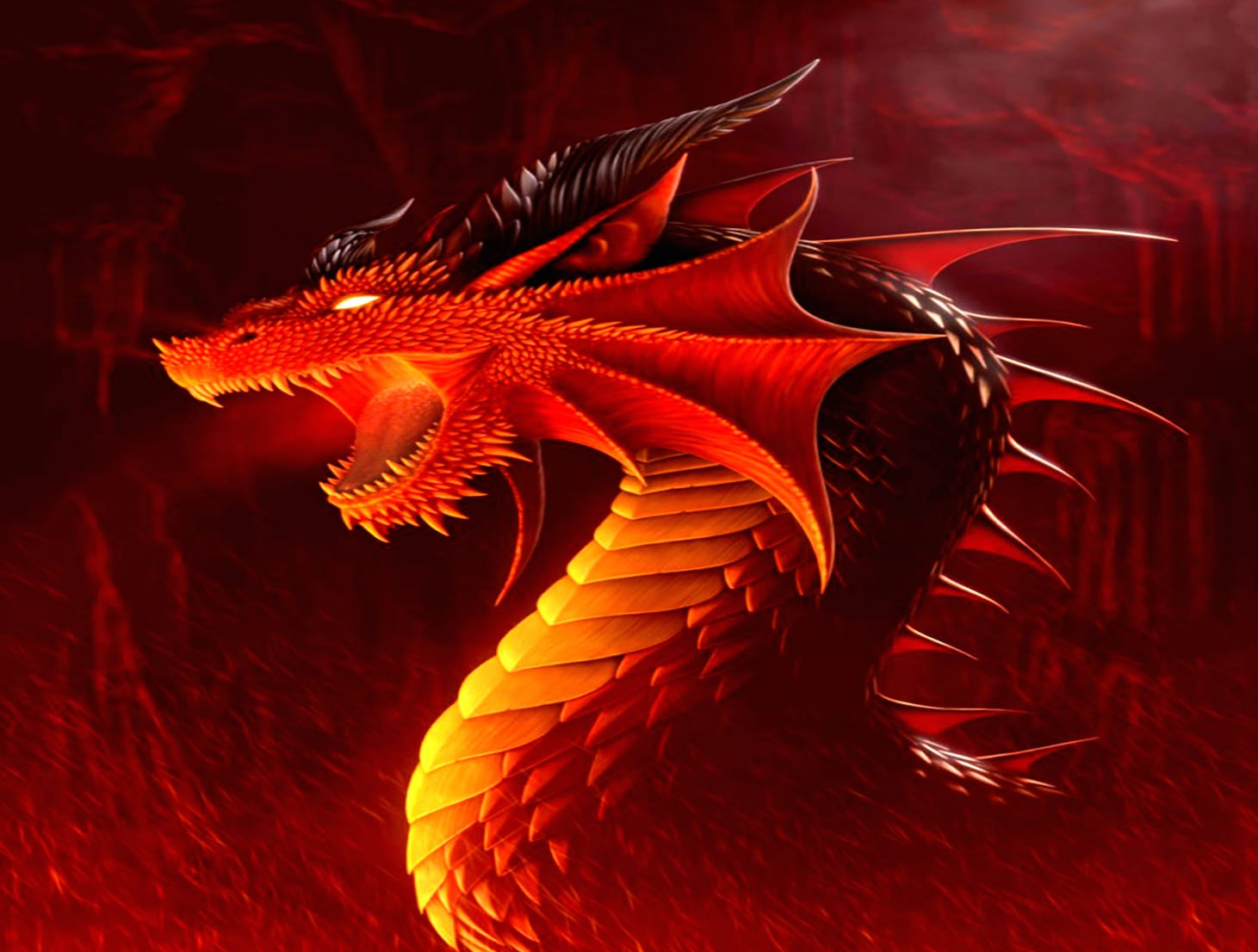 Fiery Dragon Fantasy wallpapers HD quality