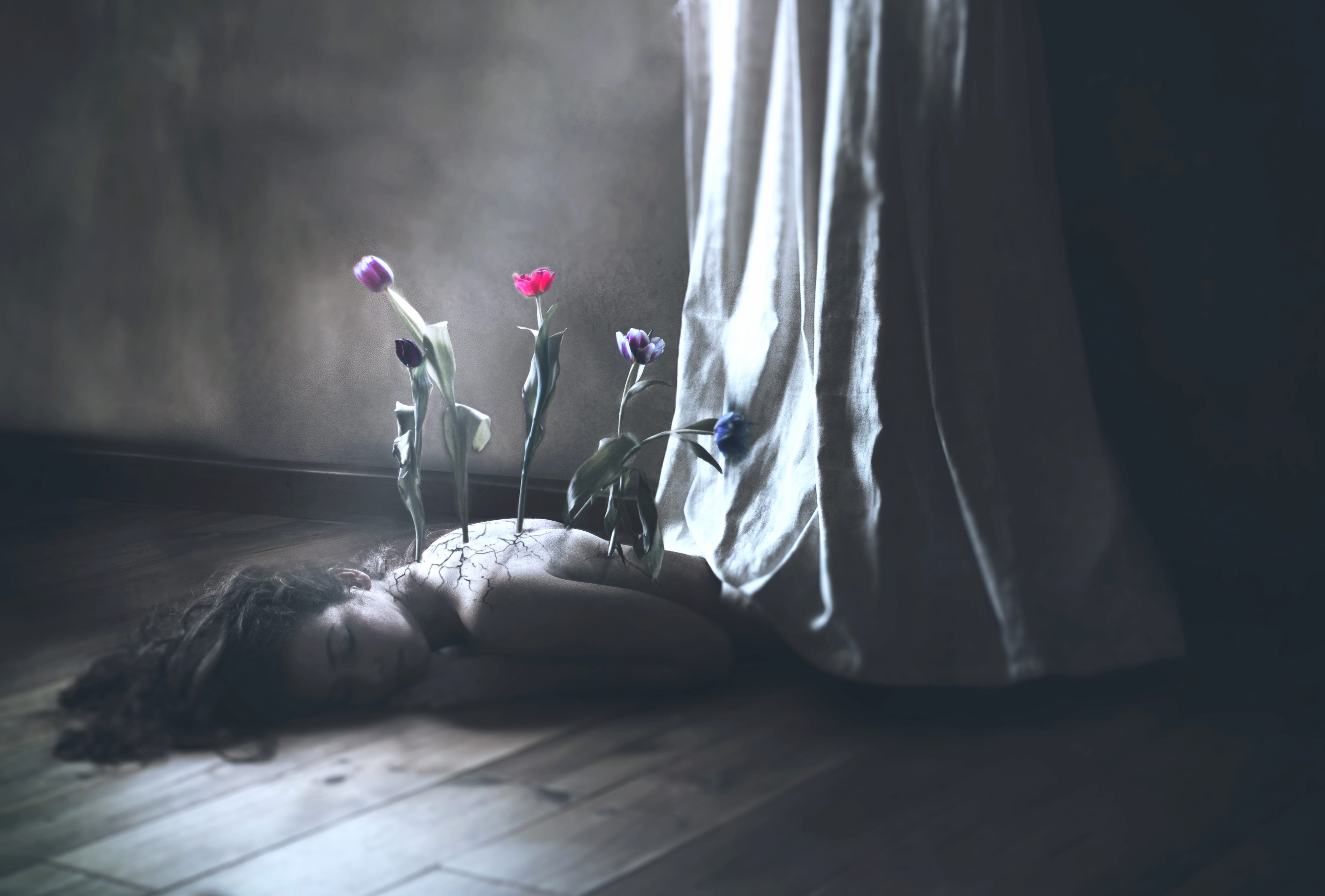 Flower Brunette Lying Down Photography Manipulation wallpapers HD quality