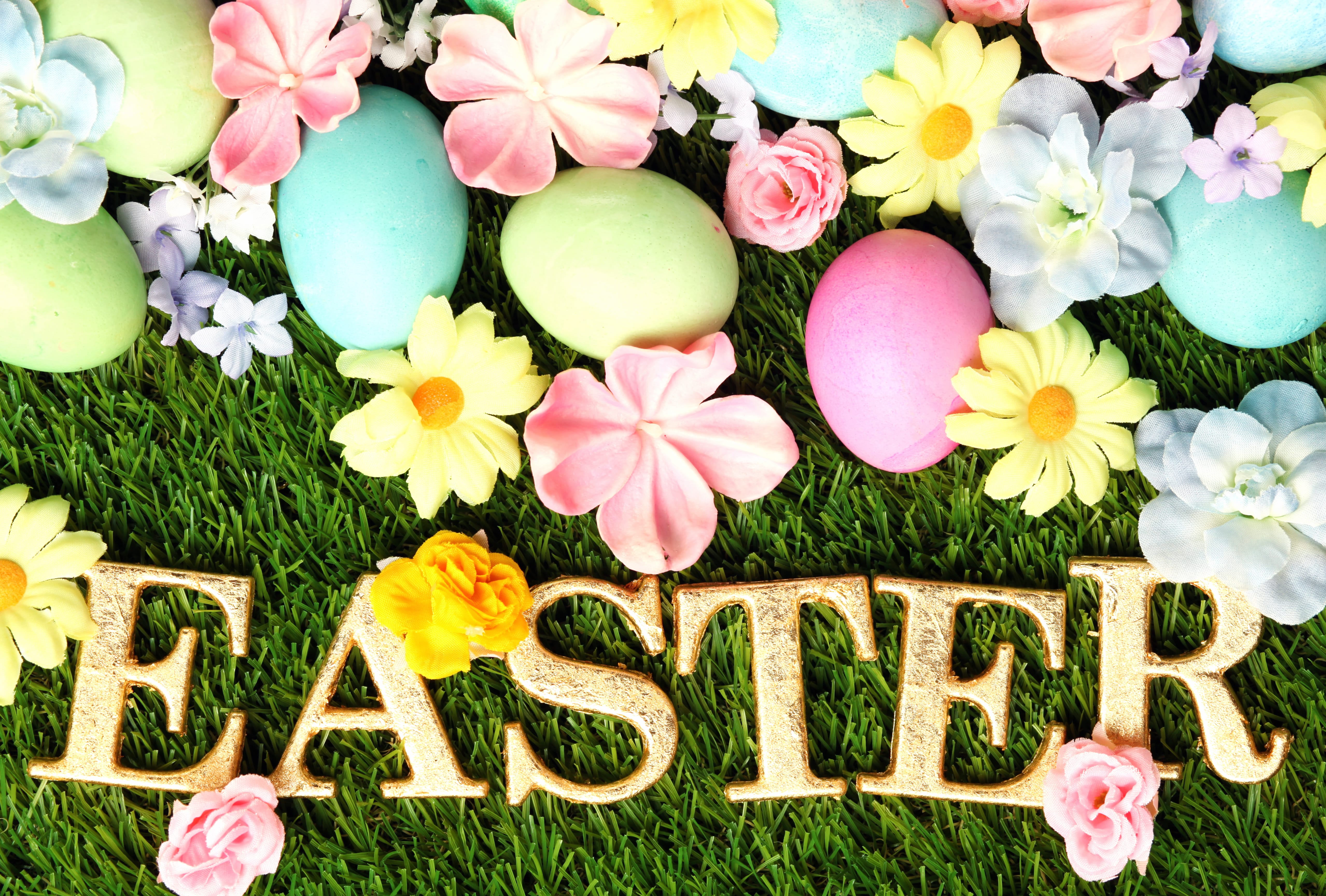 Flower Easter Egg Holiday Easter at 1024 x 768 size wallpapers HD quality