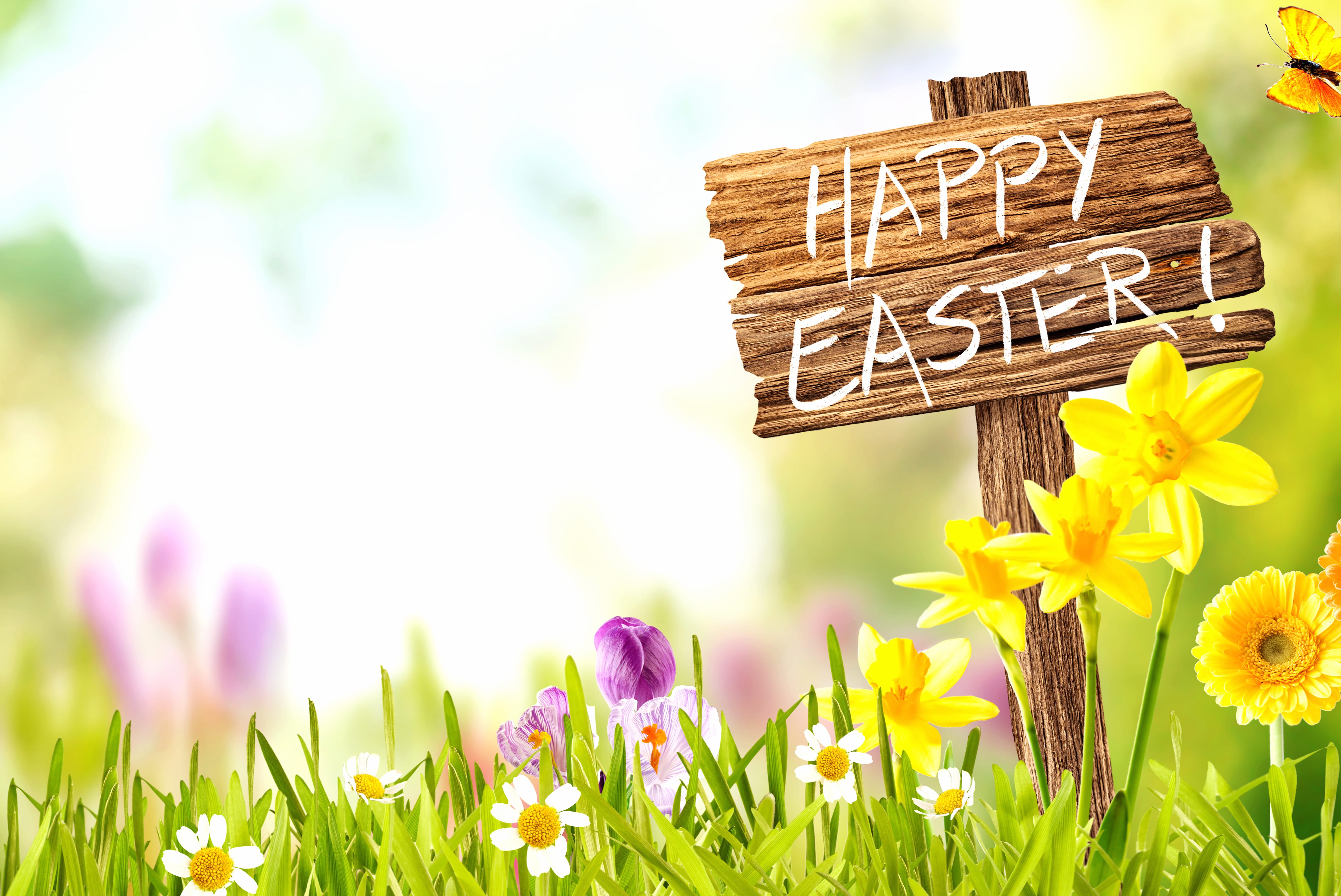 Flower Spring Happy Easter Holiday Easter wallpapers HD quality