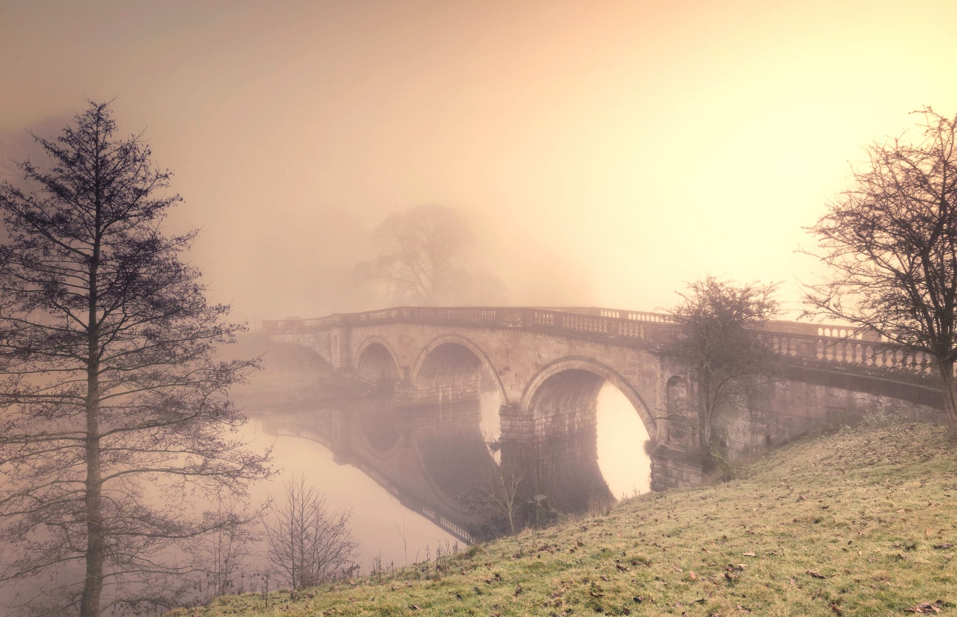 Fog River Bridge Nature Photography Park wallpapers HD quality