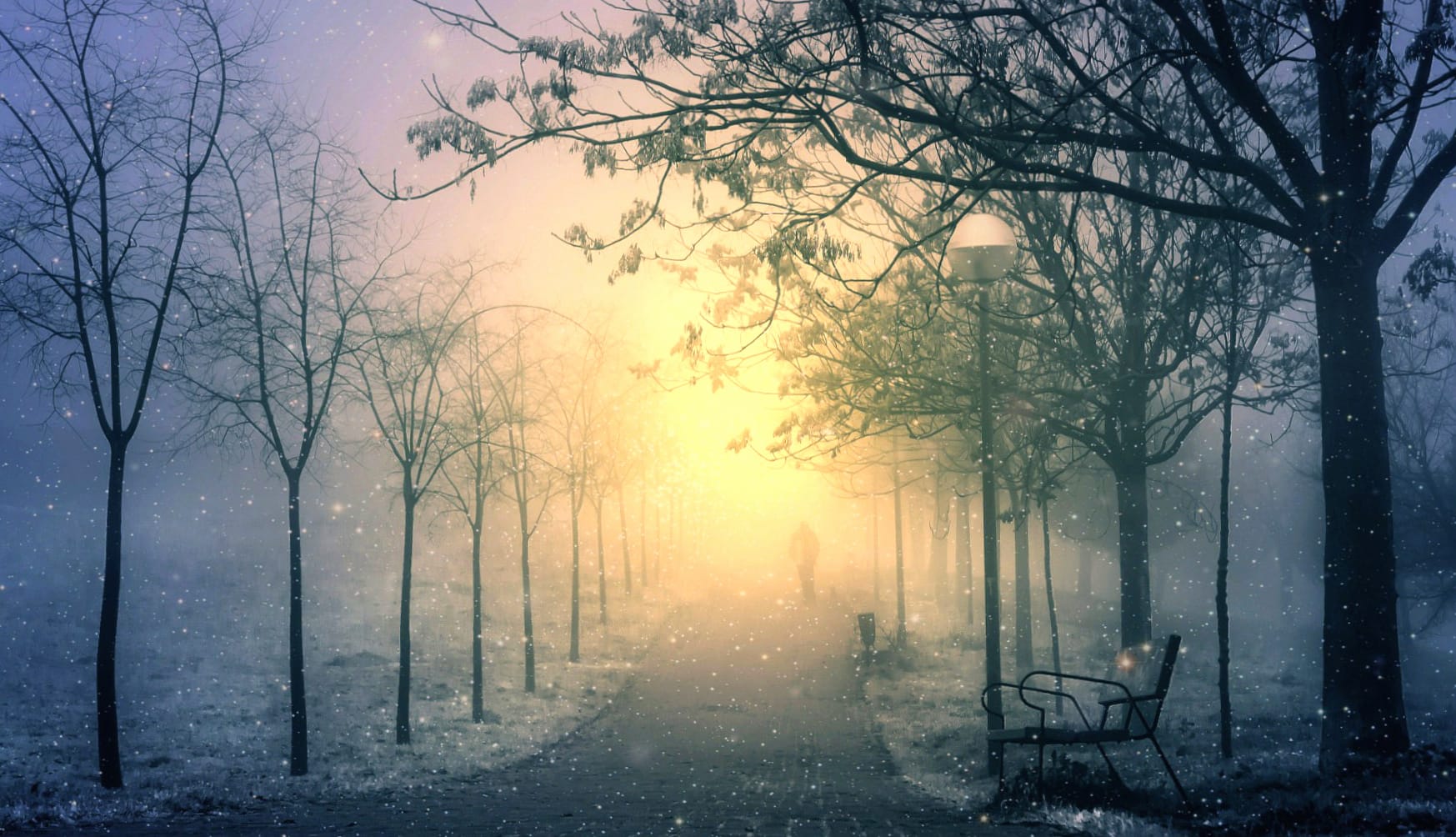 Fog Snowfall Snow Night Park Photography Winter at 320 x 480 iPhone size wallpapers HD quality