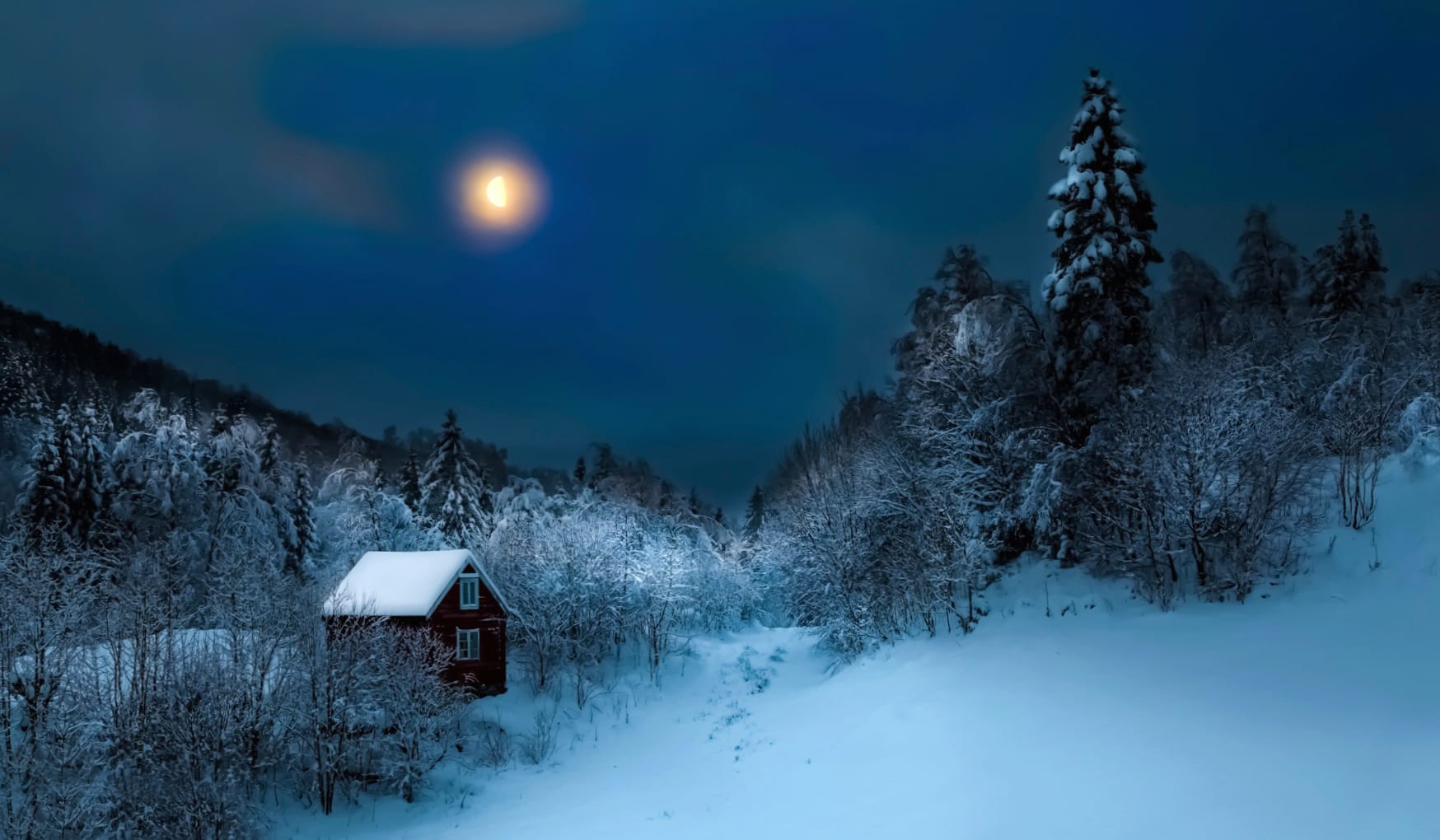 Forest House Snow Night Blue Moon Landscape Photography Winter at 2560 x 1440 HD size wallpapers HD quality