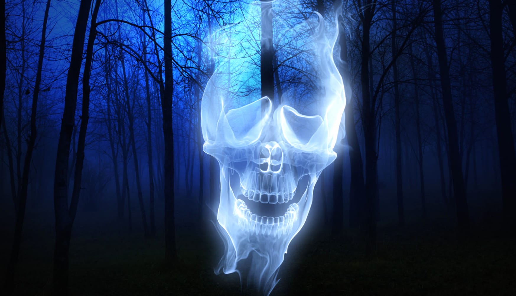 Forest Skull Ghost wallpapers HD quality