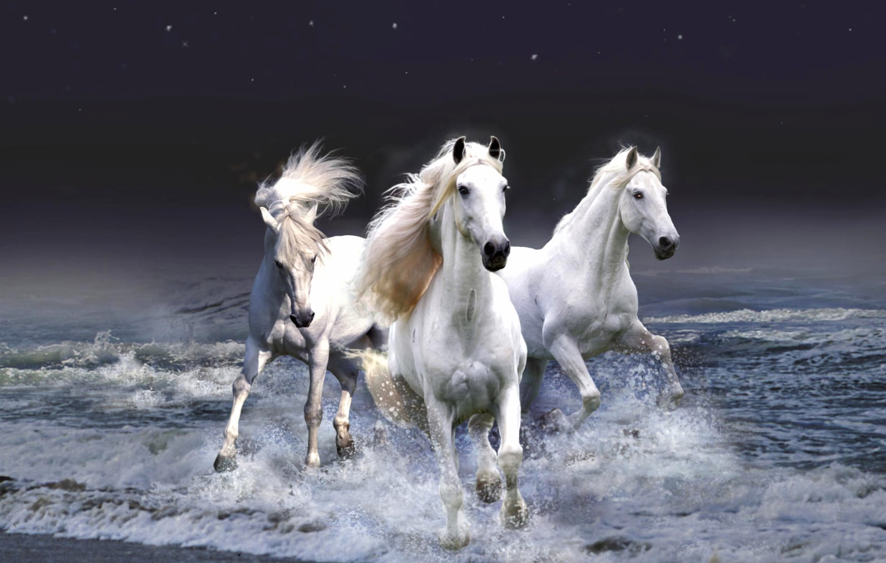 Galloping White Horses wallpapers HD quality