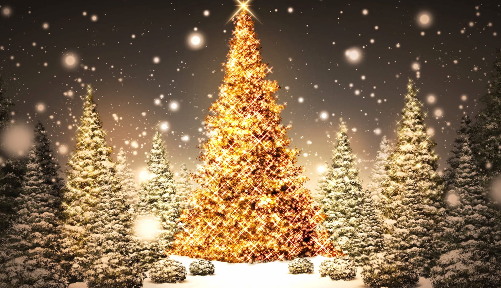 Glowing Christmas Tree in Snowy Wonderland wallpapers HD quality