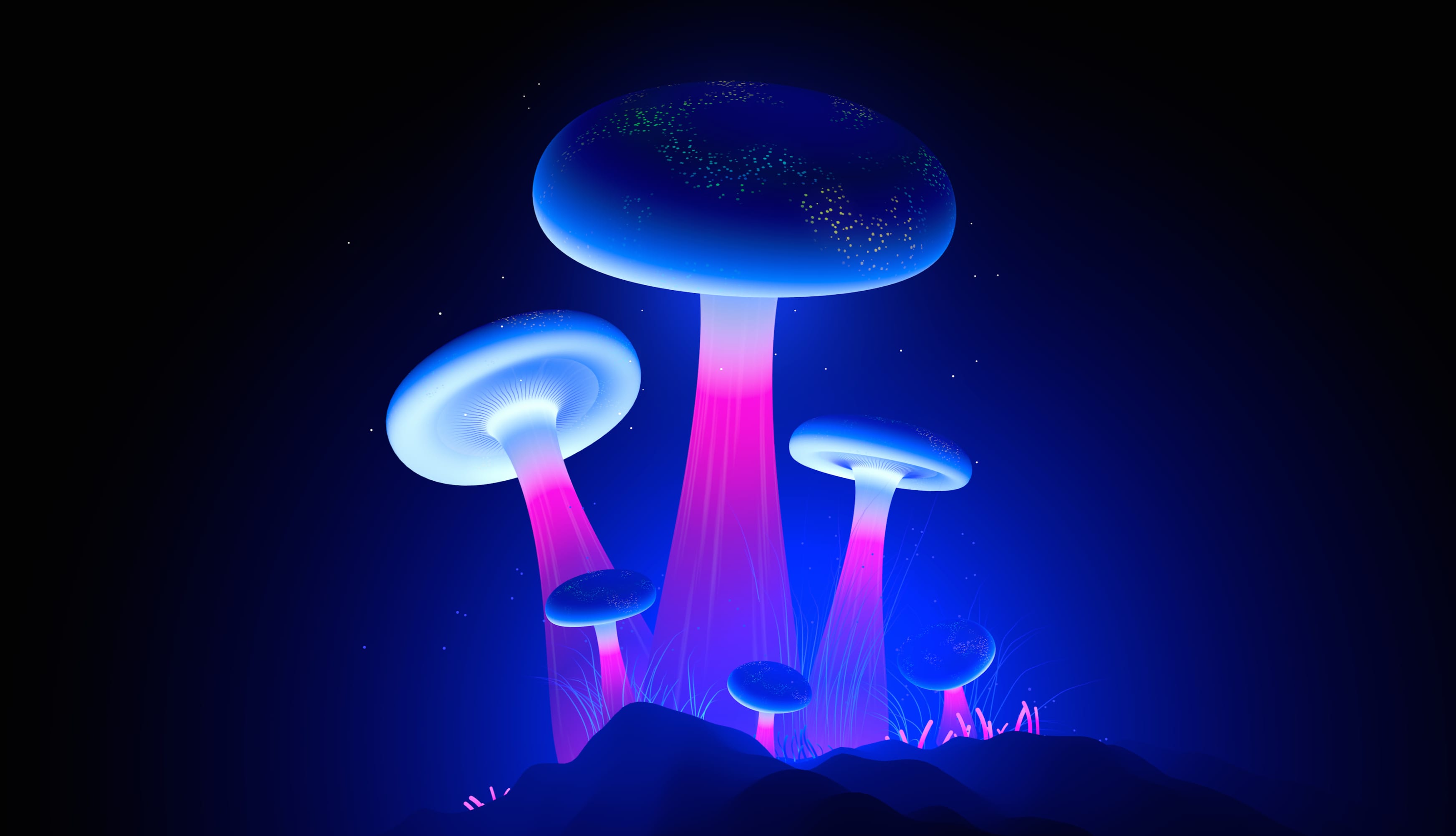 Glowing Mushrooms wallpapers HD quality