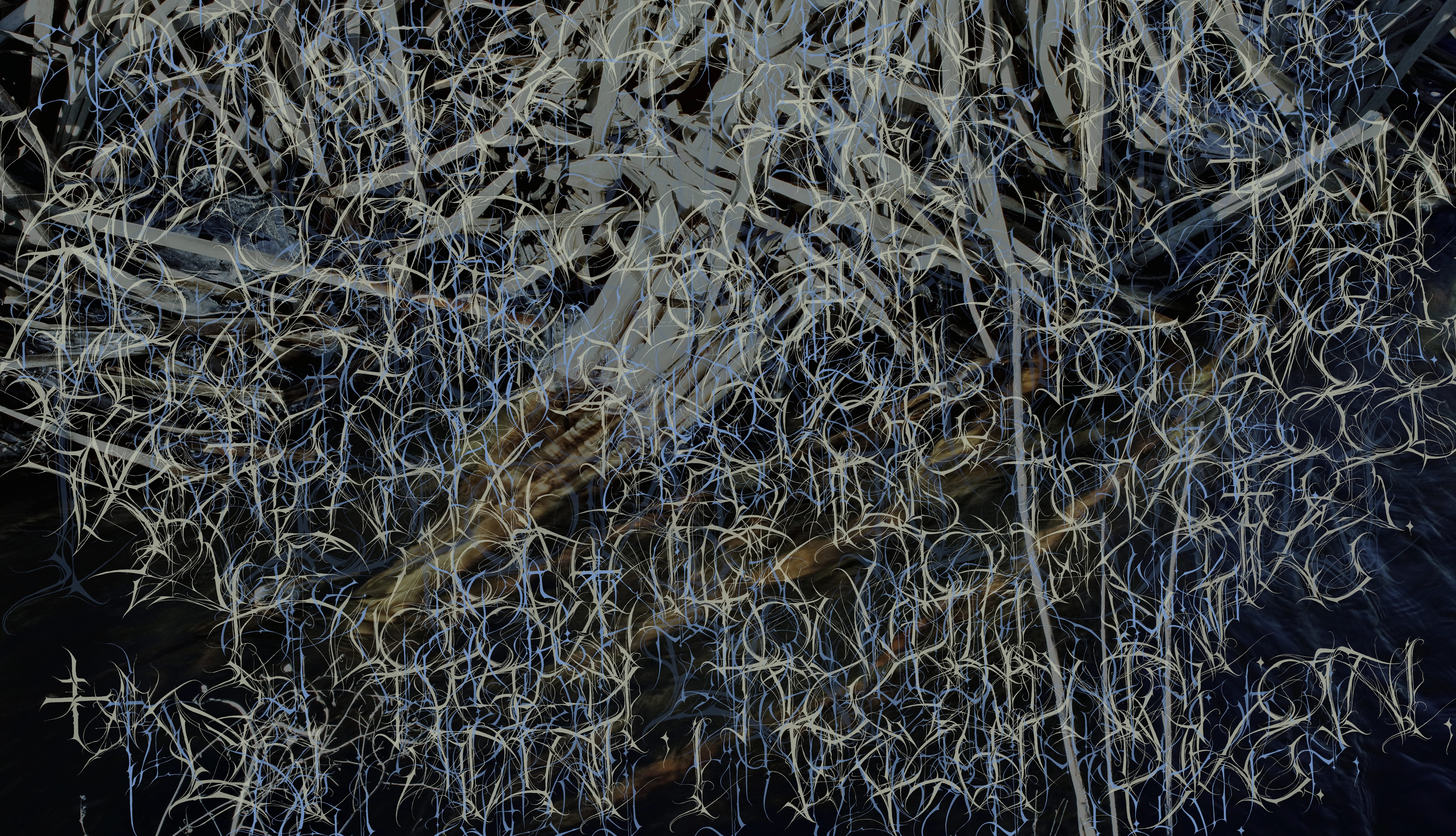 Gnawing On A Black And Blue Pebble wallpapers HD Gnawing On A Black And Blue Pebble wallpapers HD quality