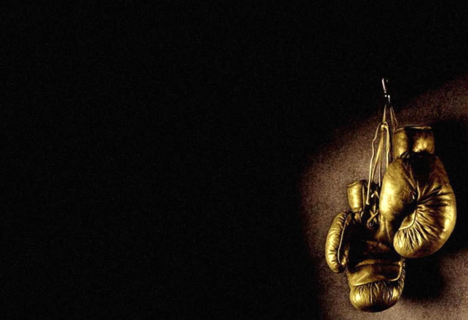 Golden Boxing Gloves wallpapers HD quality