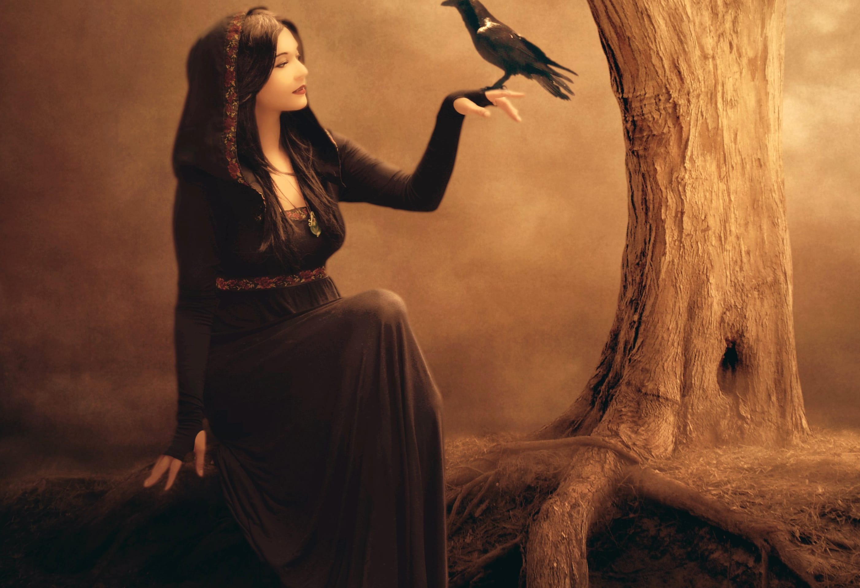 Gothic Fantasy Woman at 1366 x 768 HD size wallpapers HD quality