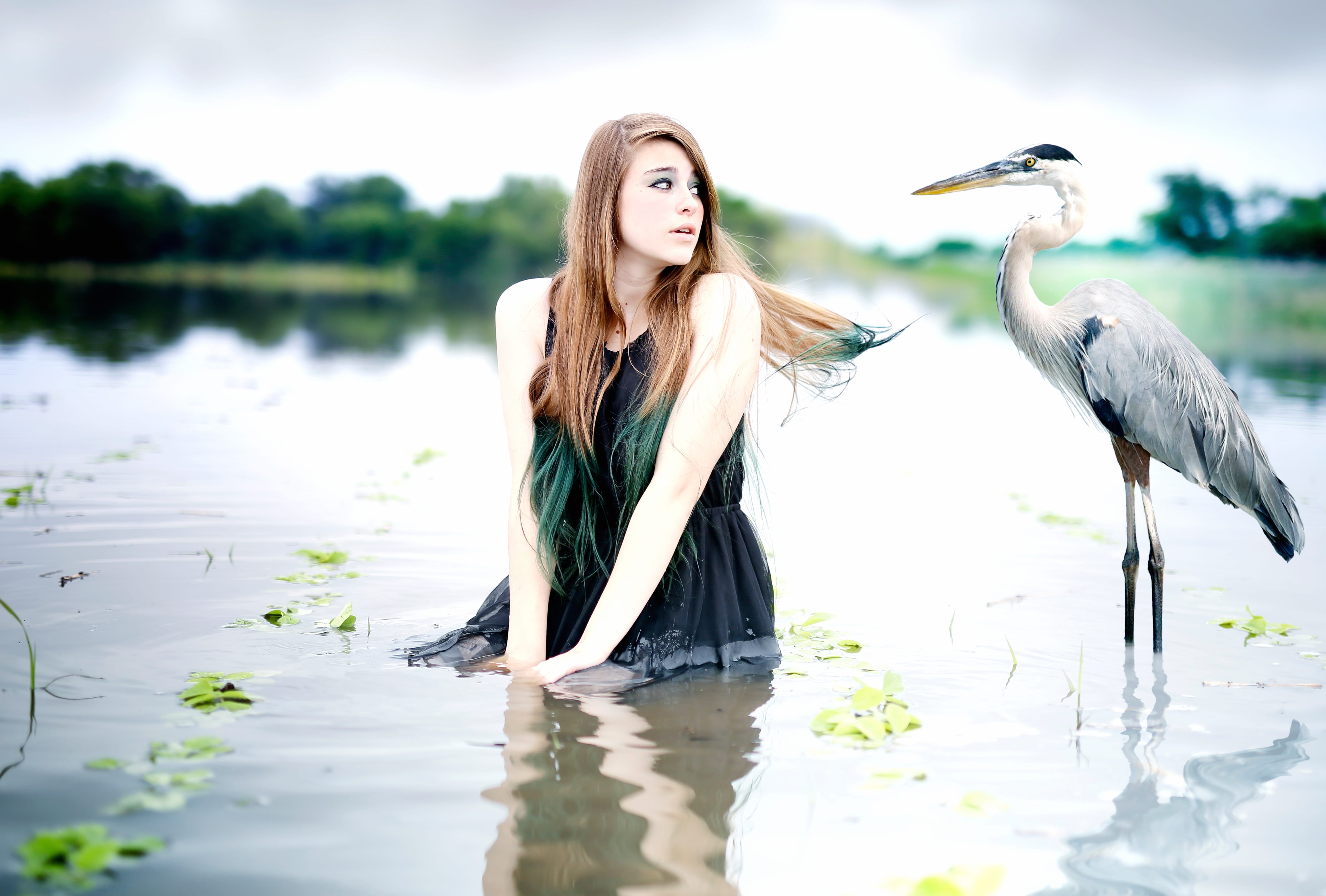 Great Blue Heron and Woman - HD Mood Wallpaper at 2560 x 1440 HD size wallpapers HD quality