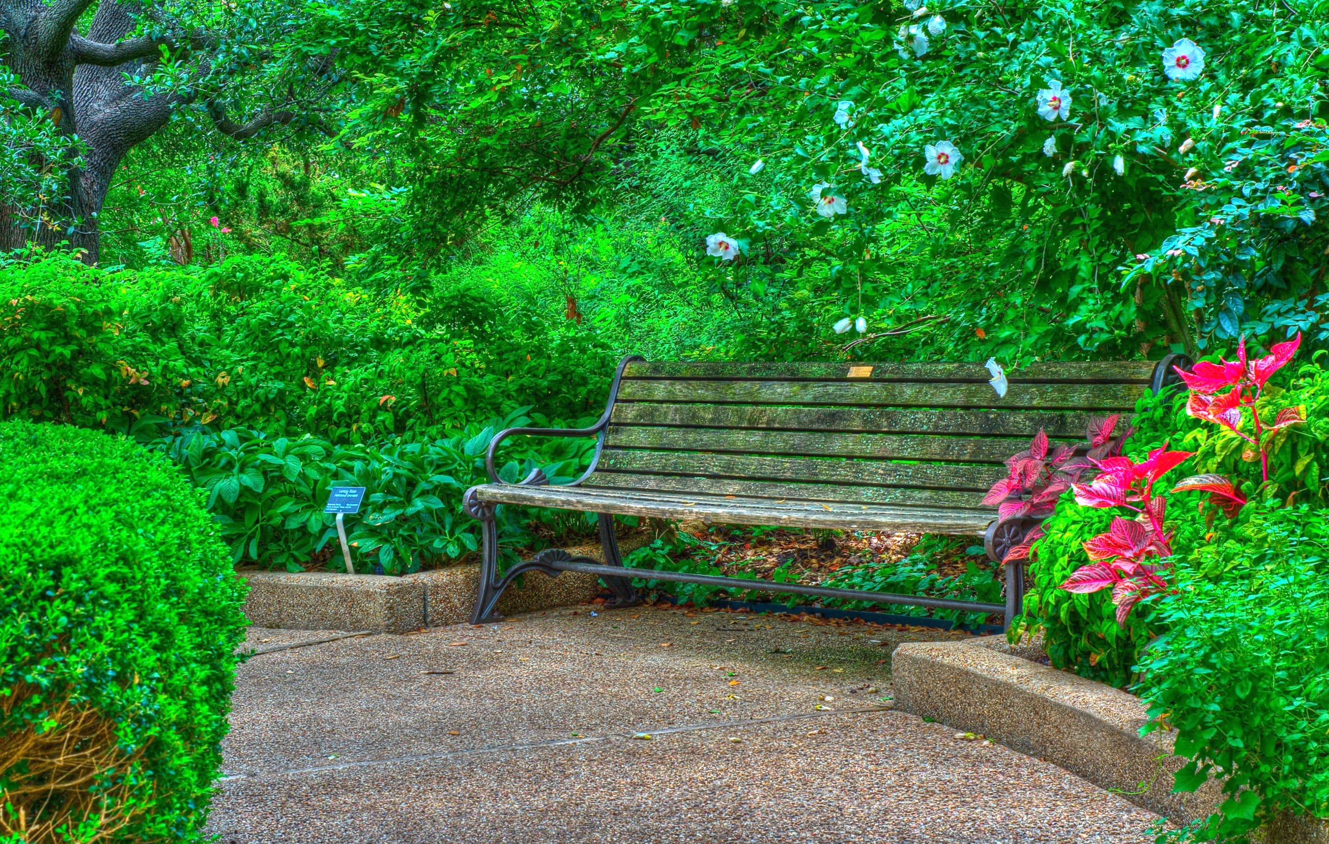 Green Flower Spring Park Bench Photography HDR wallpapers HD quality