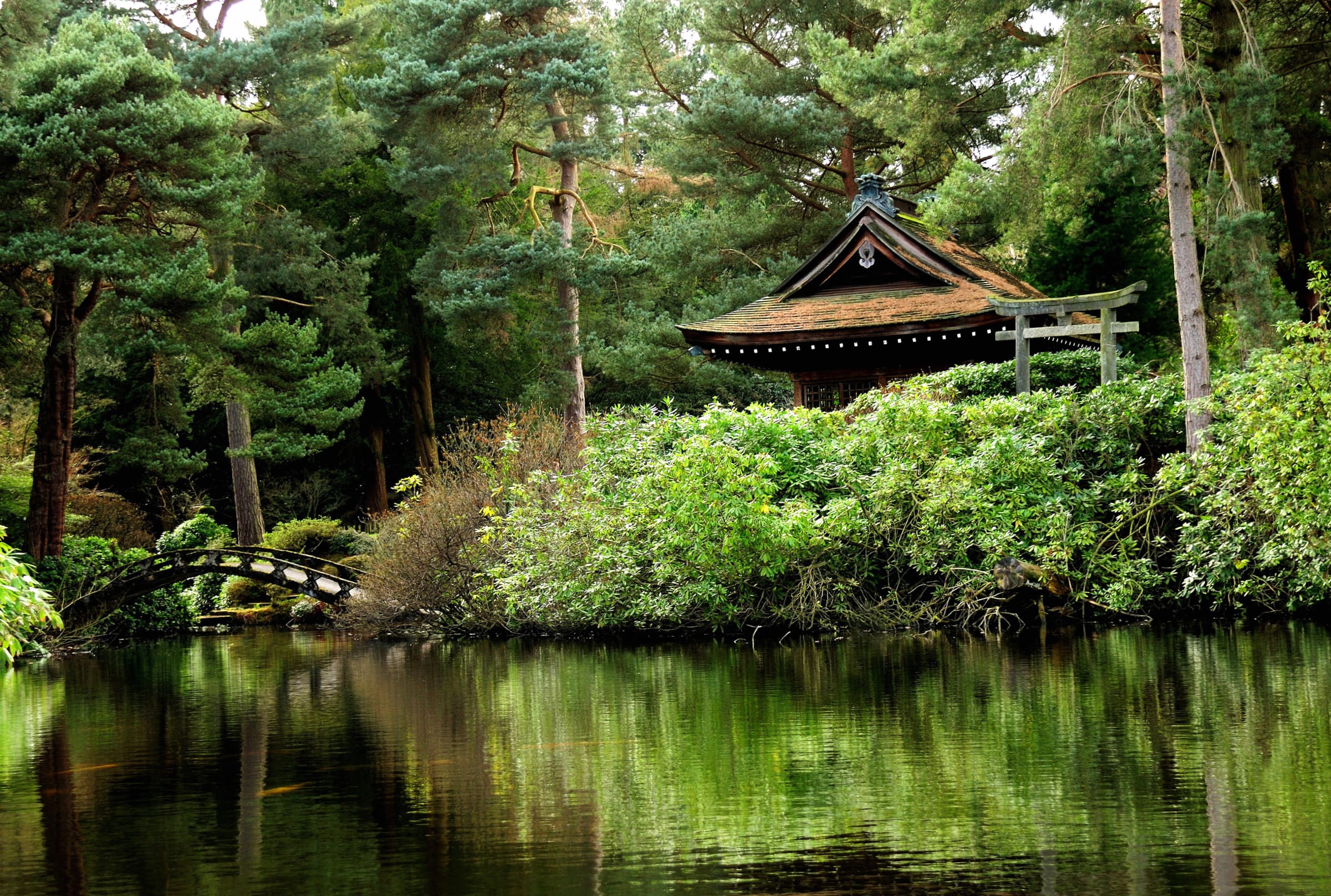 Green Oriental Bridge Reflection Water England Photography Park at 1024 x 1024 iPad size wallpapers HD quality