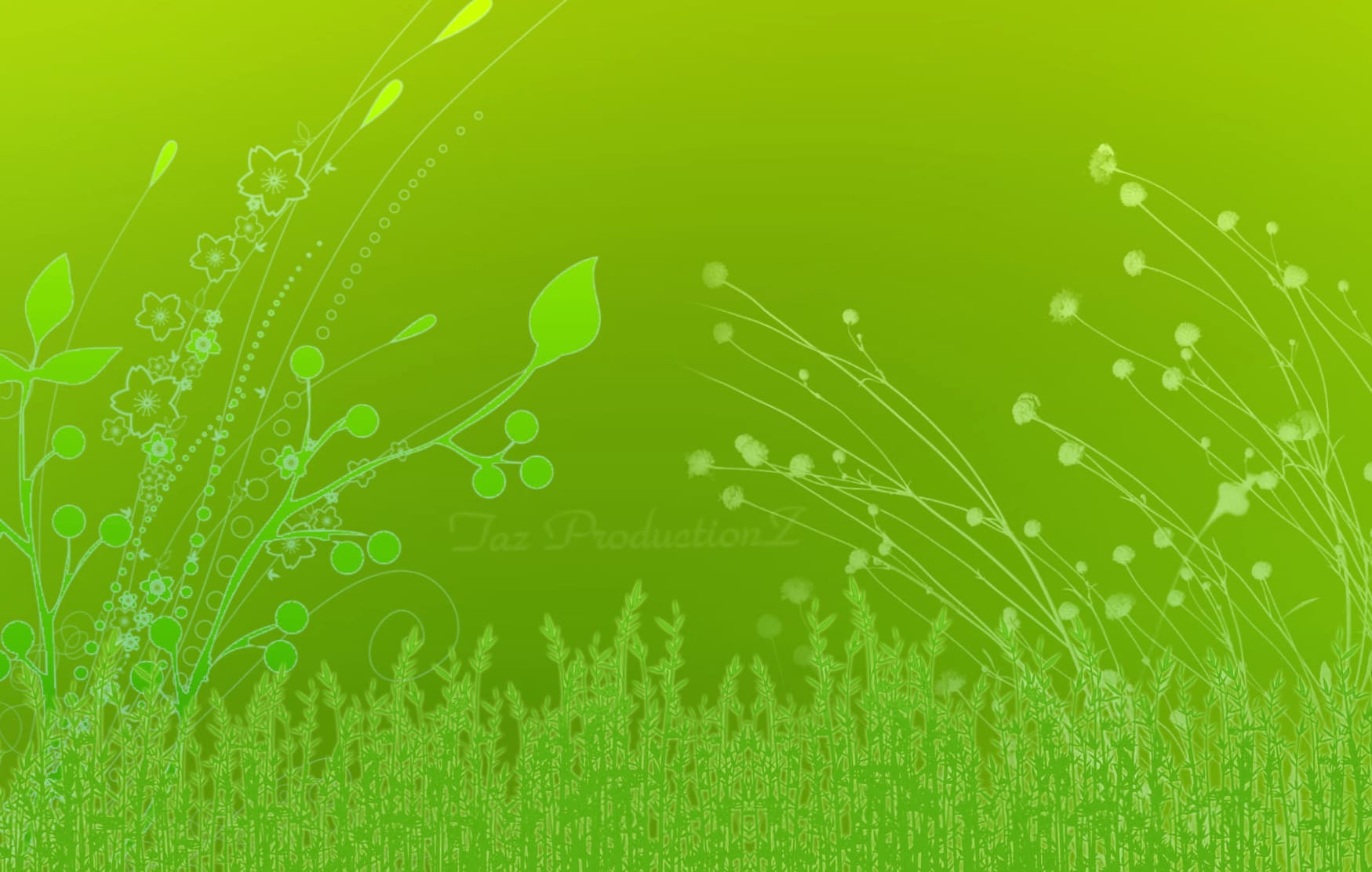 Green Symphony HD Nature Wallpaper wallpapers HD quality