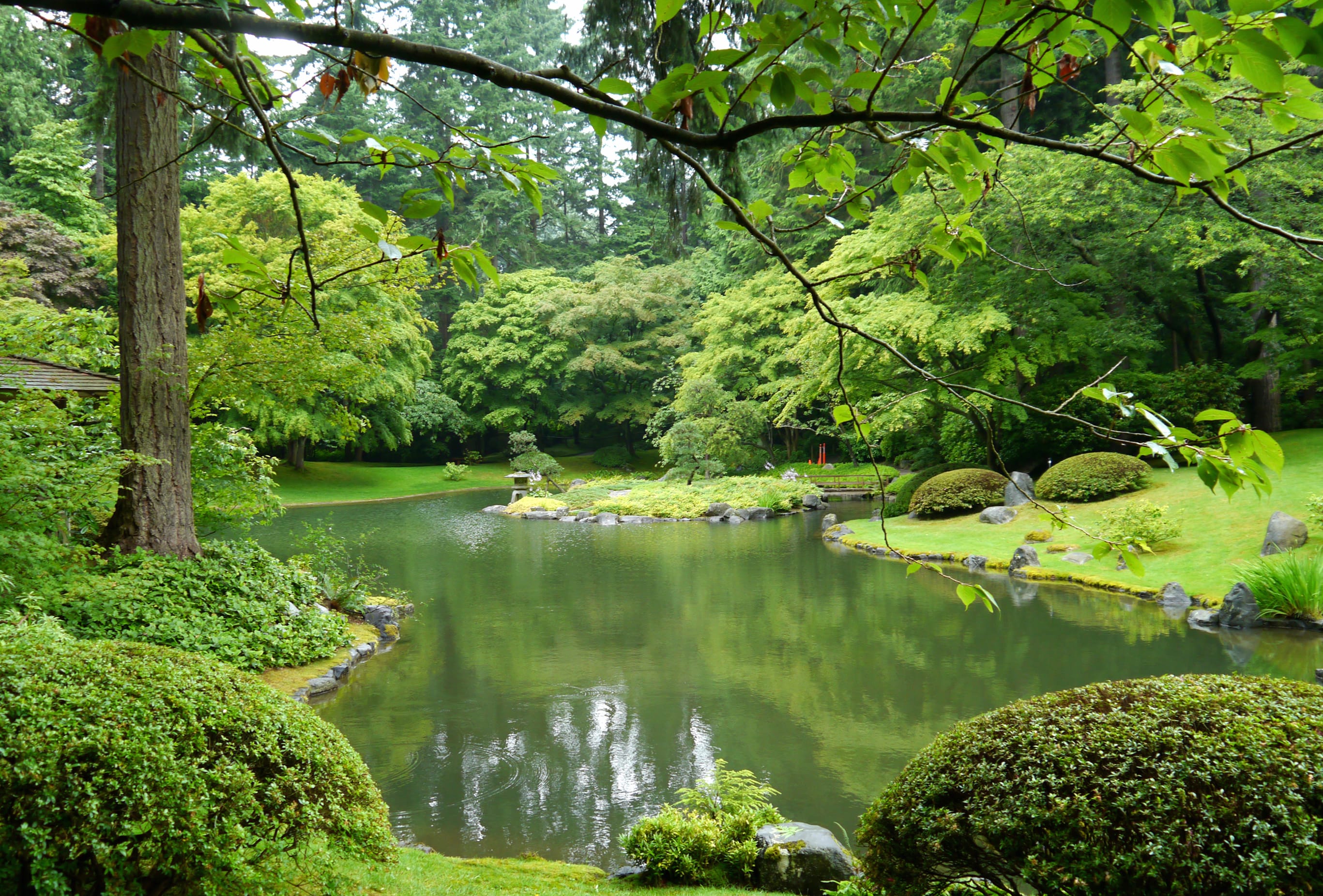 Greenery Tree Bush Grass Pond Vancouver Canada Photography Park at 320 x 480 iPhone size wallpapers HD quality