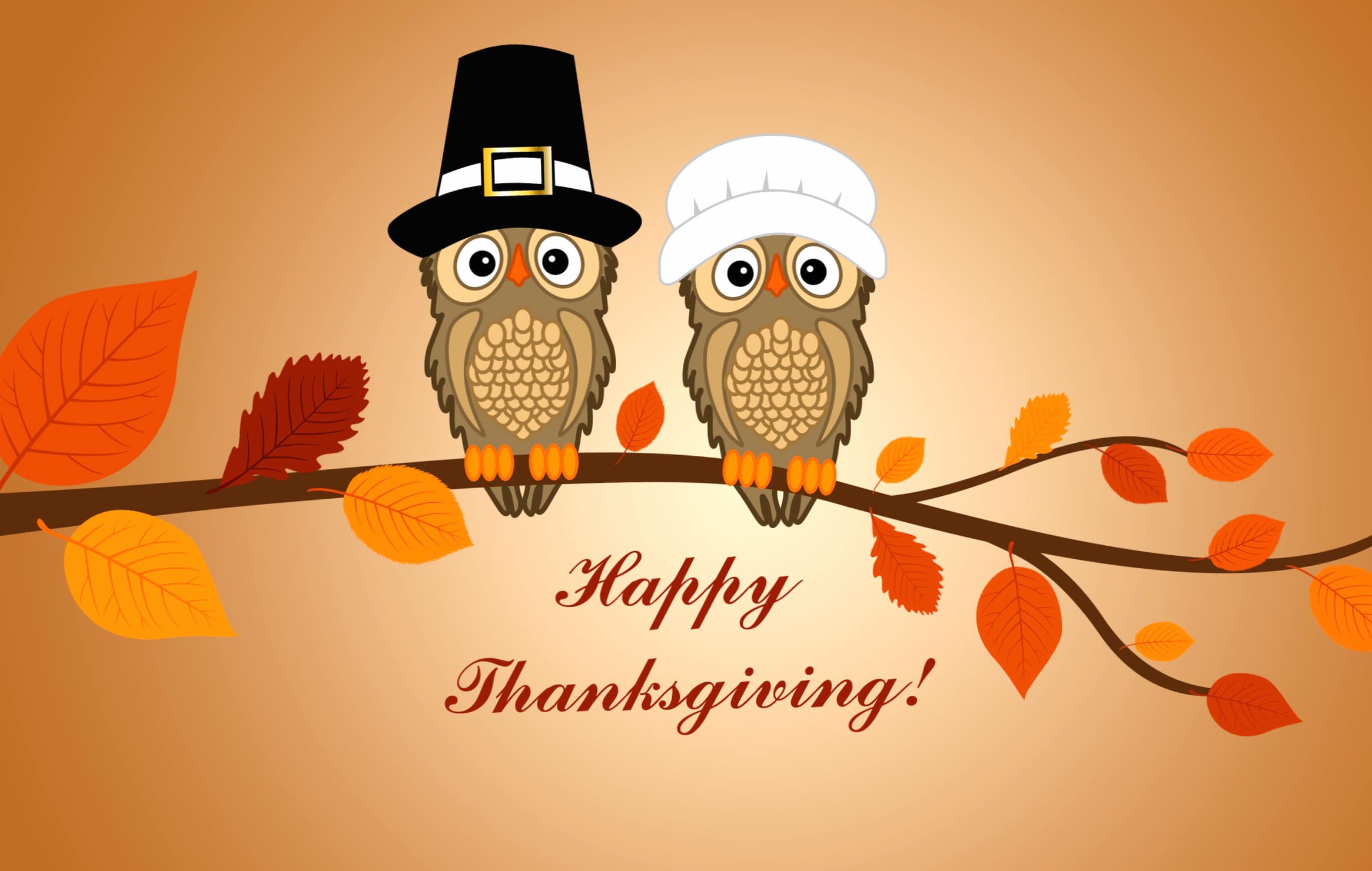 Happy Thanksgiving with Cheerful Owls wallpapers HD quality