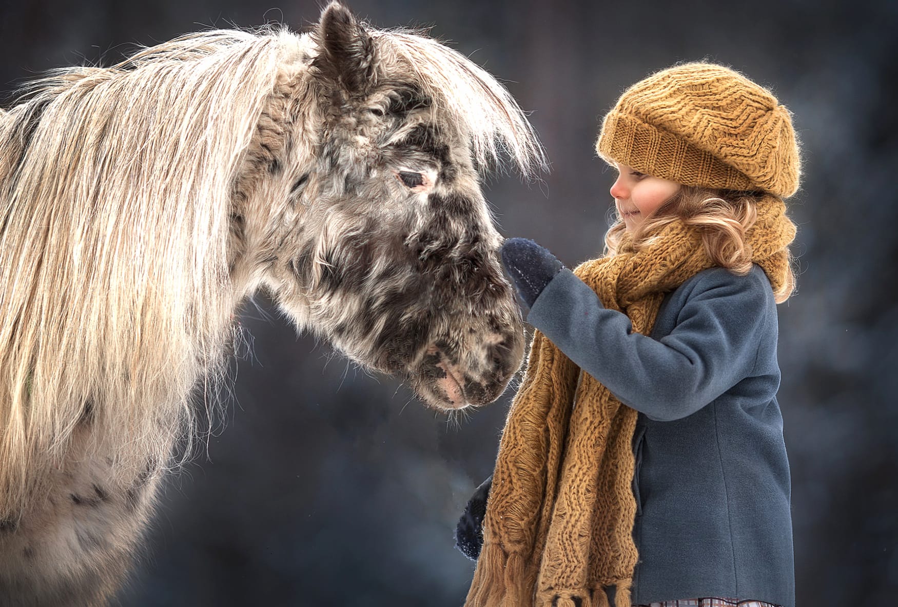 Hat Winter Scarf Horse Little Girl Photography Child wallpapers HD quality