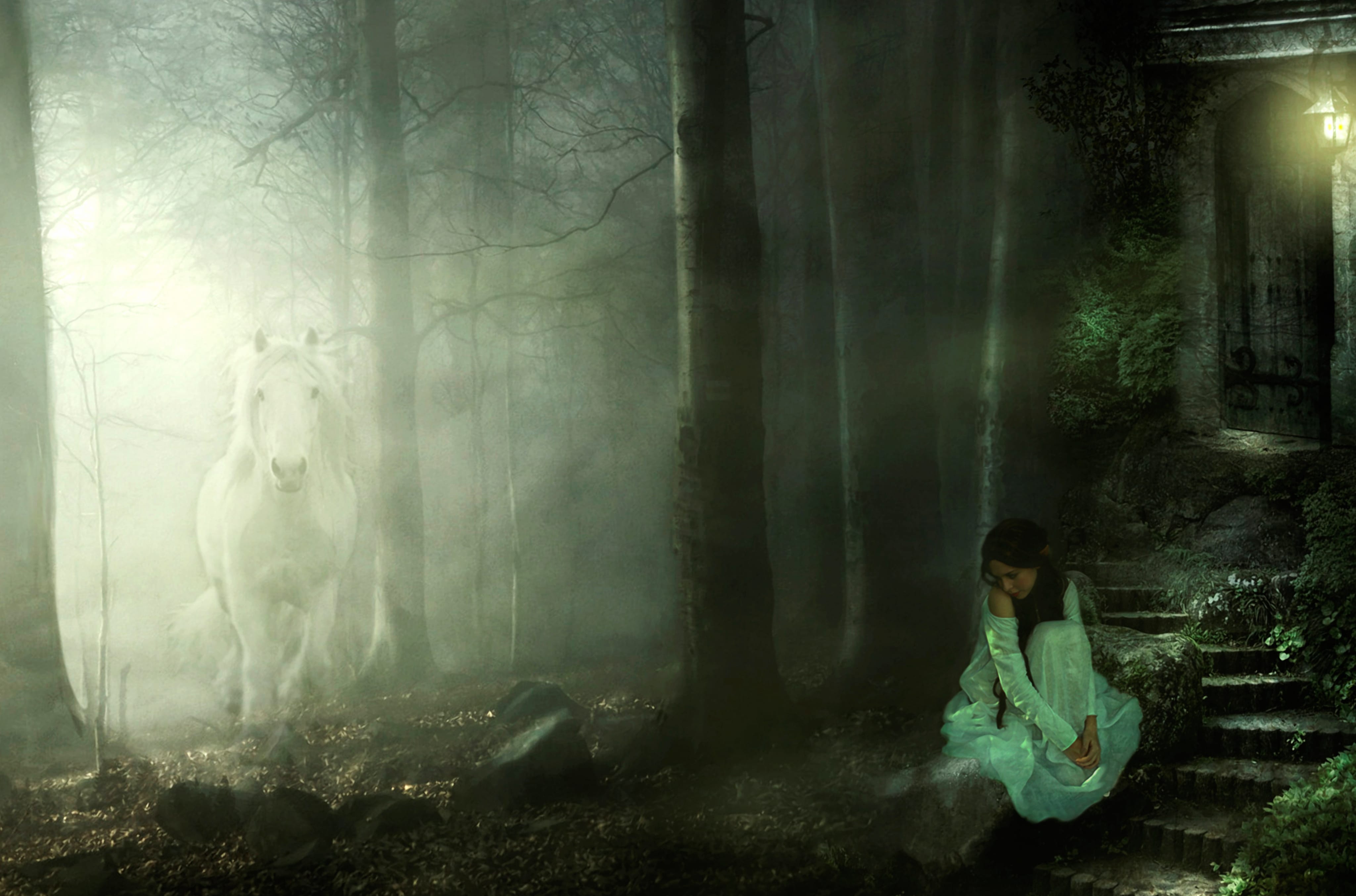Haunting Forest Encounter - wallpapers HD Haunting Forest Encounter - wallpapers HD quality