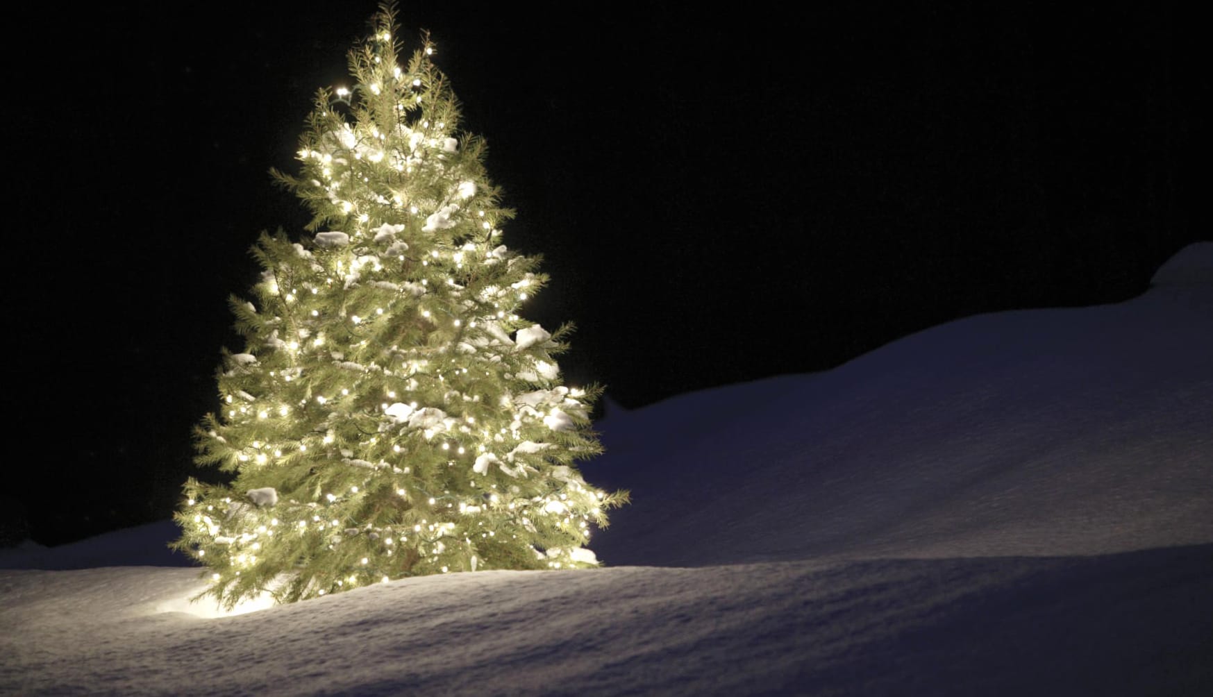 HD Wallpaper of a Festive Christmas Tree Illuminated at 640 x 960 iPhone 4 size wallpapers HD quality