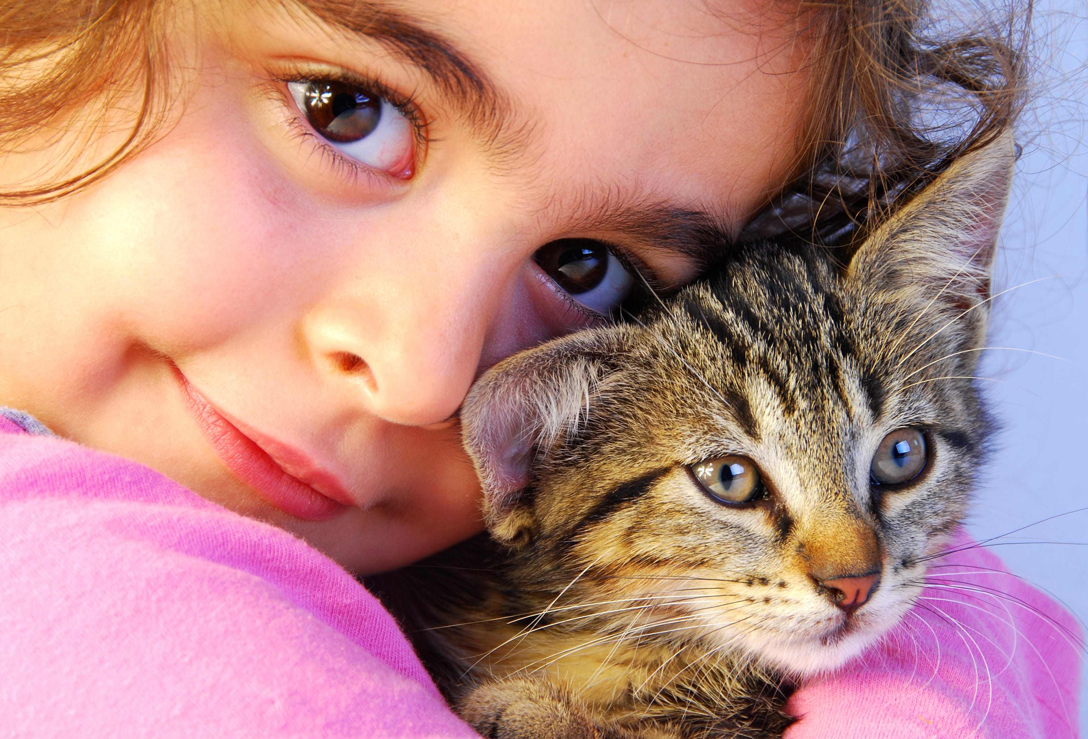 Heartwarming Moments Child and Kitten in at 1366 x 768 HD size wallpapers HD quality