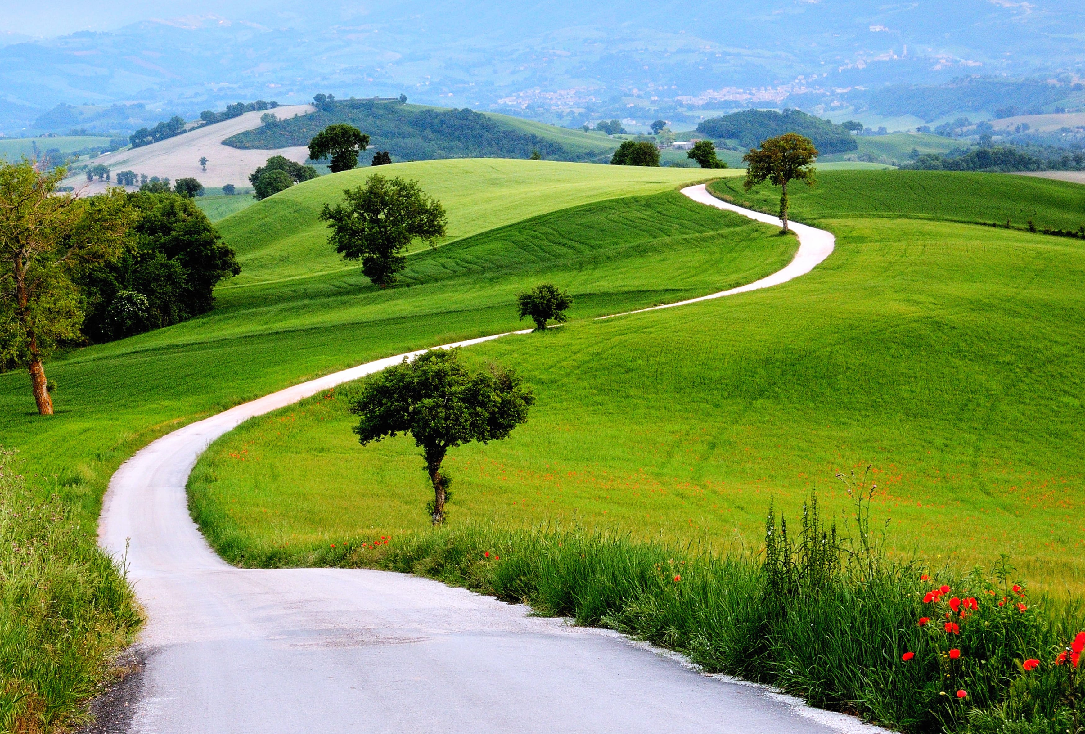 Hill Earth Nature Tree Grass Field Road Photography Landscape at 320 x 480 iPhone size wallpapers HD quality