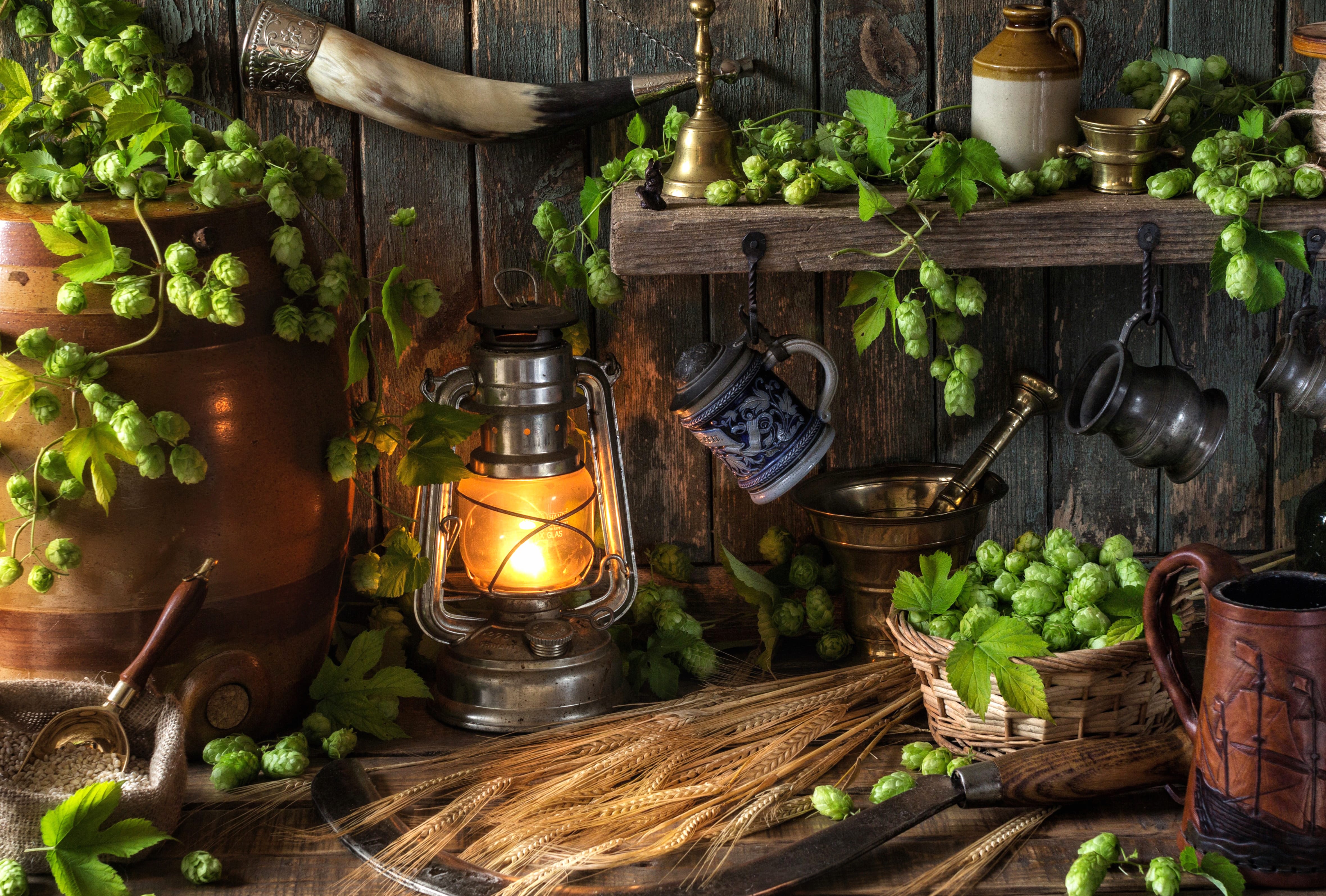 Hop Wheat Lantern Photography Still Life at 1600 x 900 HD size wallpapers HD quality