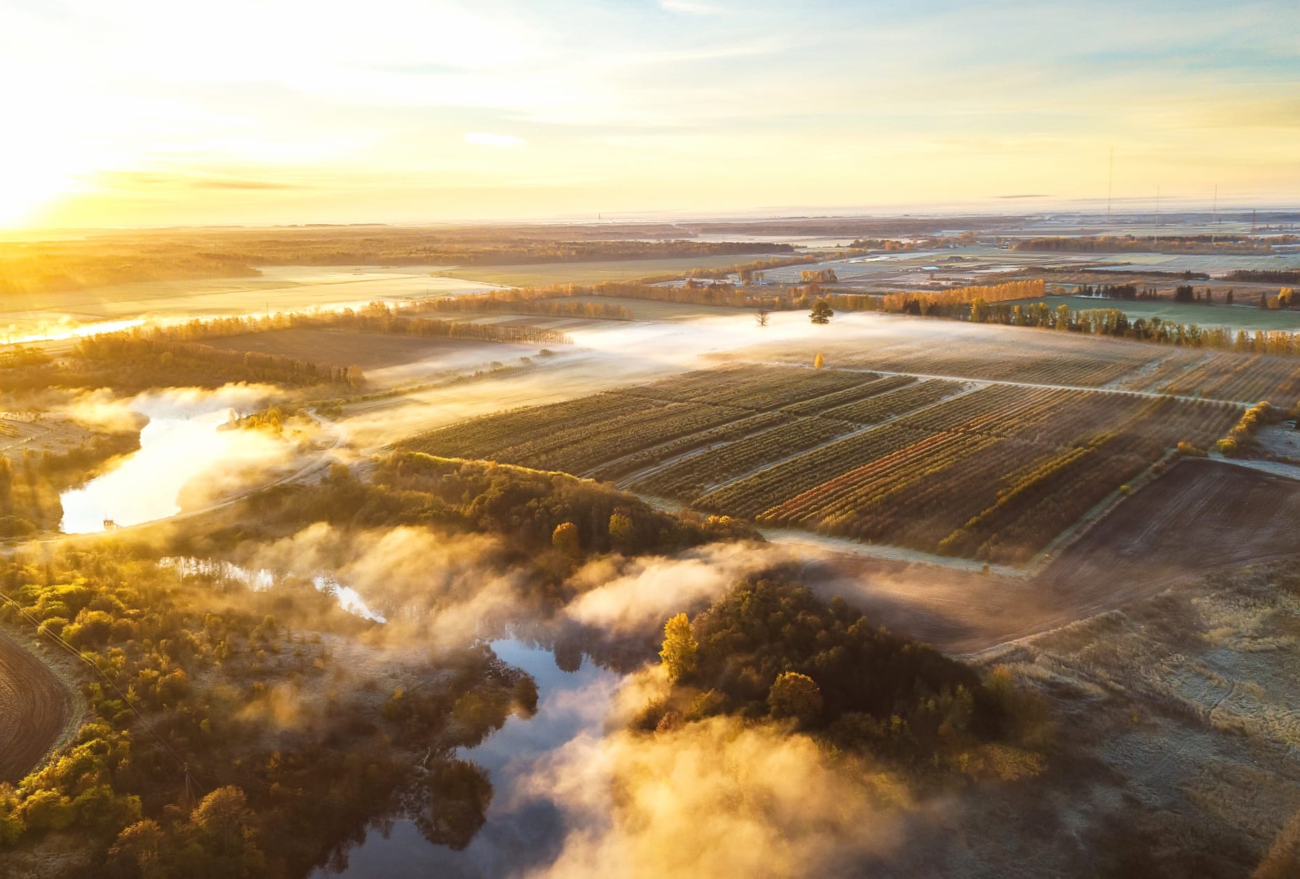 Horizon River Fog Field Nature Photography Landscape at 640 x 1136 iPhone 5 size wallpapers HD quality