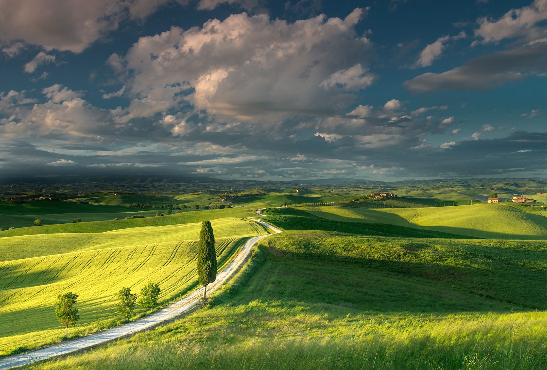 Italy Field Hill Cloud Sky Landscape Nature Photography Tuscany at 750 x 1334 iPhone 6 size wallpapers HD quality