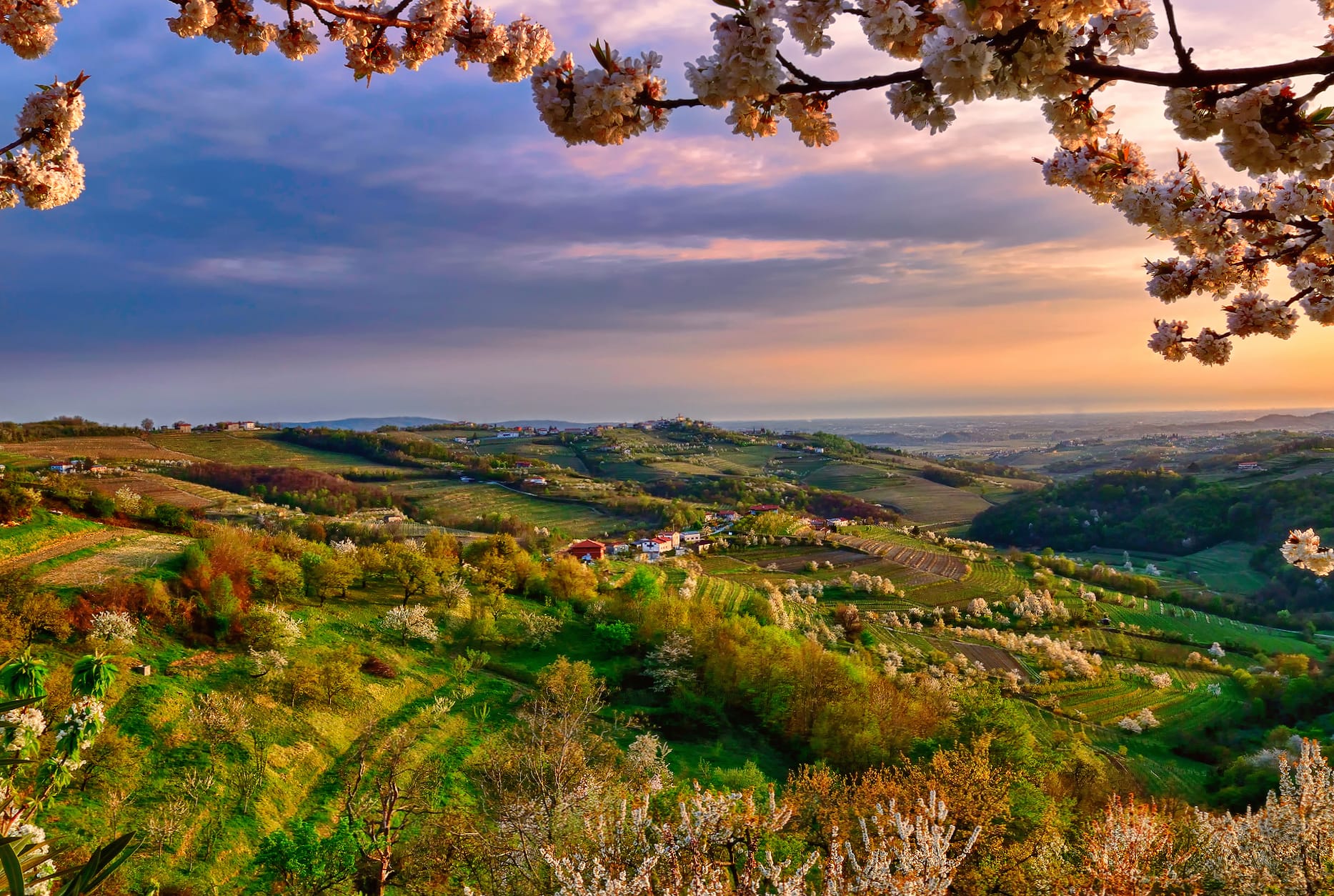 Italy Lombardia Skyline Blossom Spring Photography Landscape at 1920 x 1080 HD size wallpapers HD quality