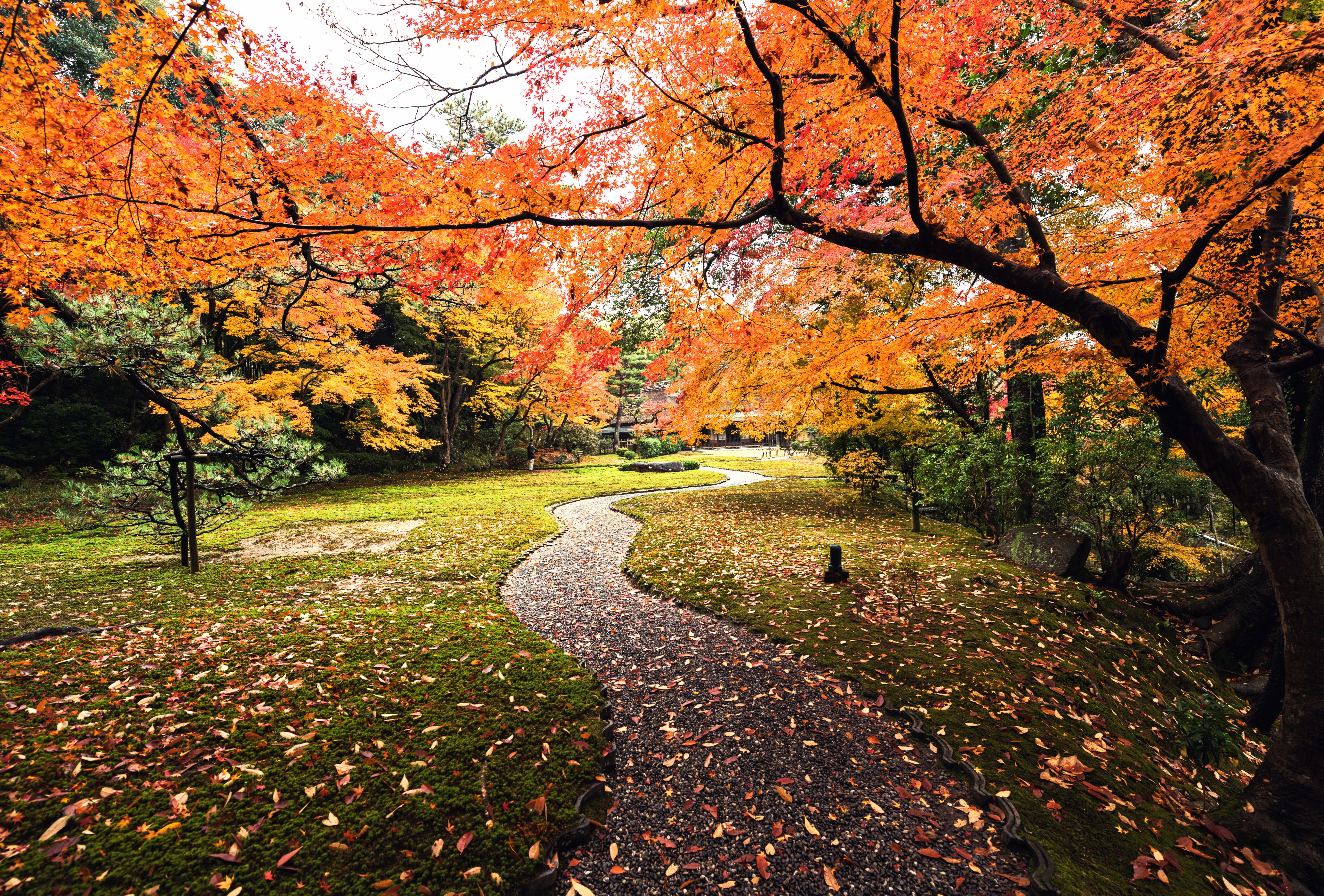 Japan Garden Path Photography Fall wallpapers HD quality