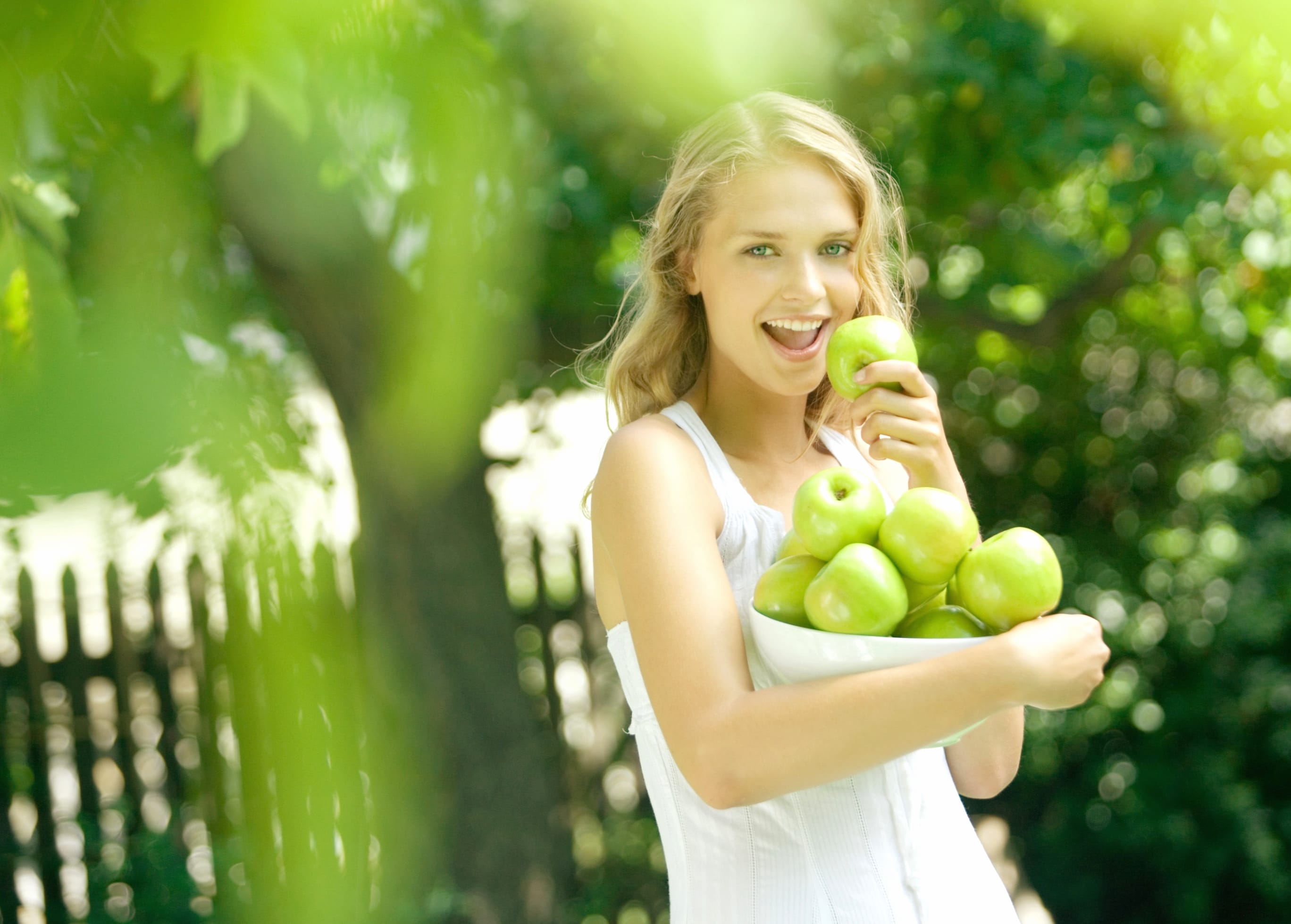 Joyful Apple Harvest wallpapers HD quality