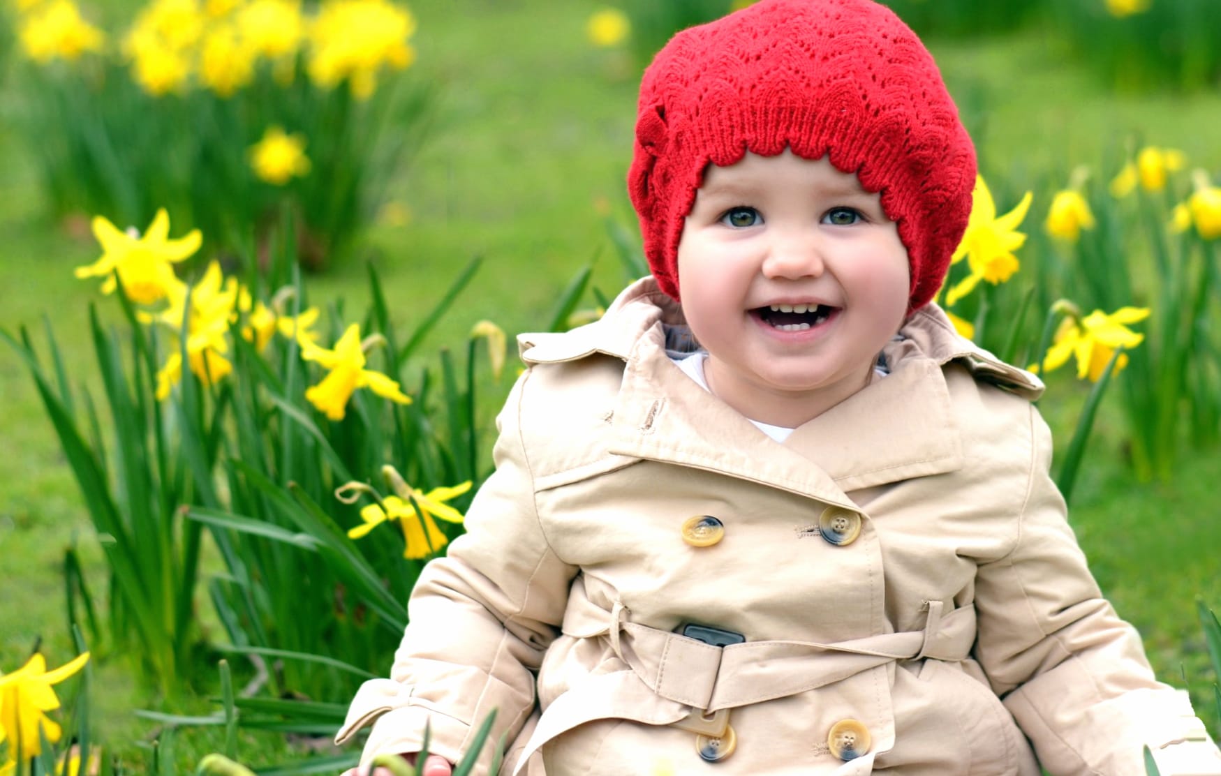 Joyful Child in Daffodil Field - wallpapers HD quality