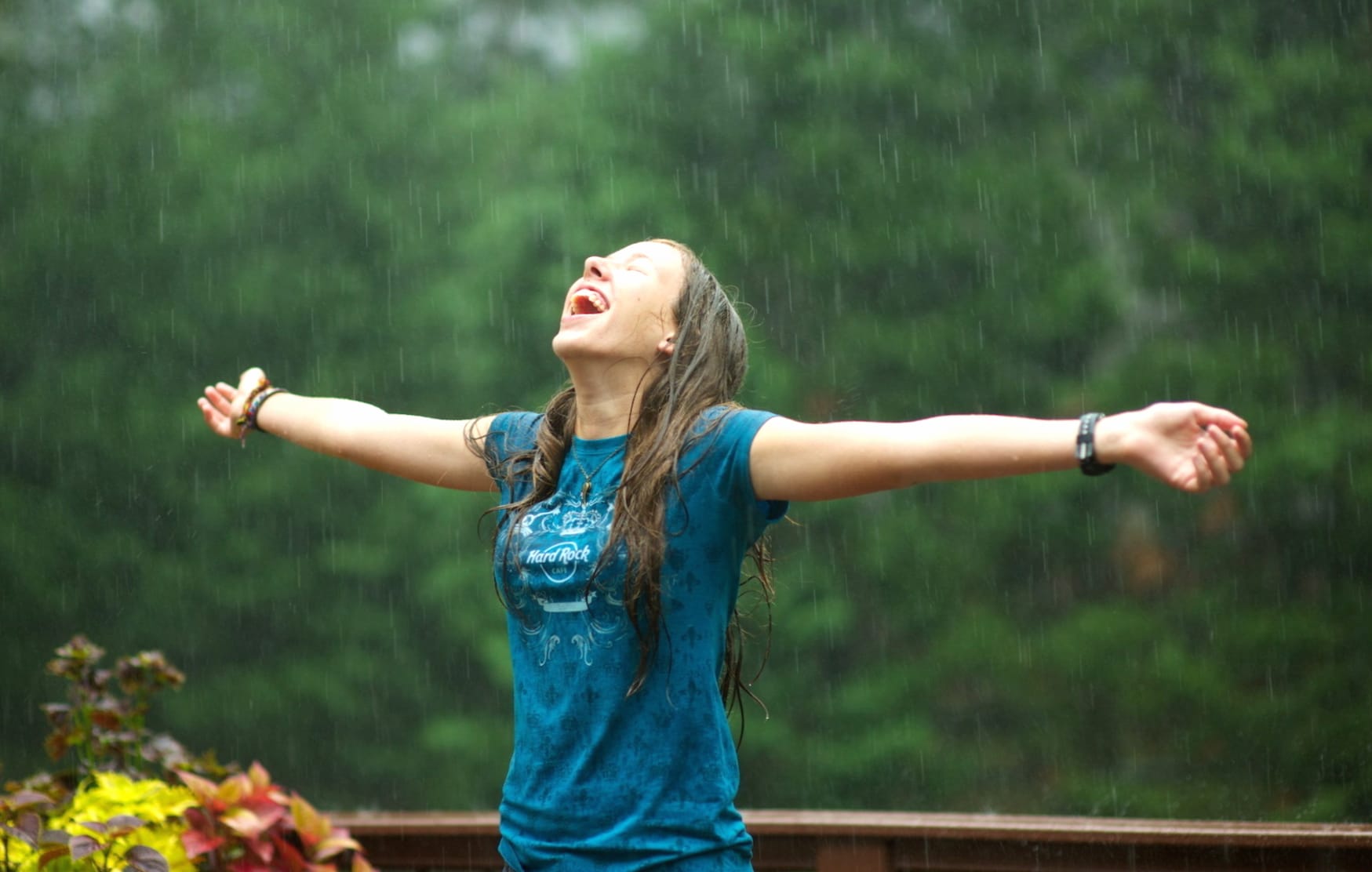 Joyful Rain - Nature Mood at 2560 x 1440 HD size wallpapers HD quality