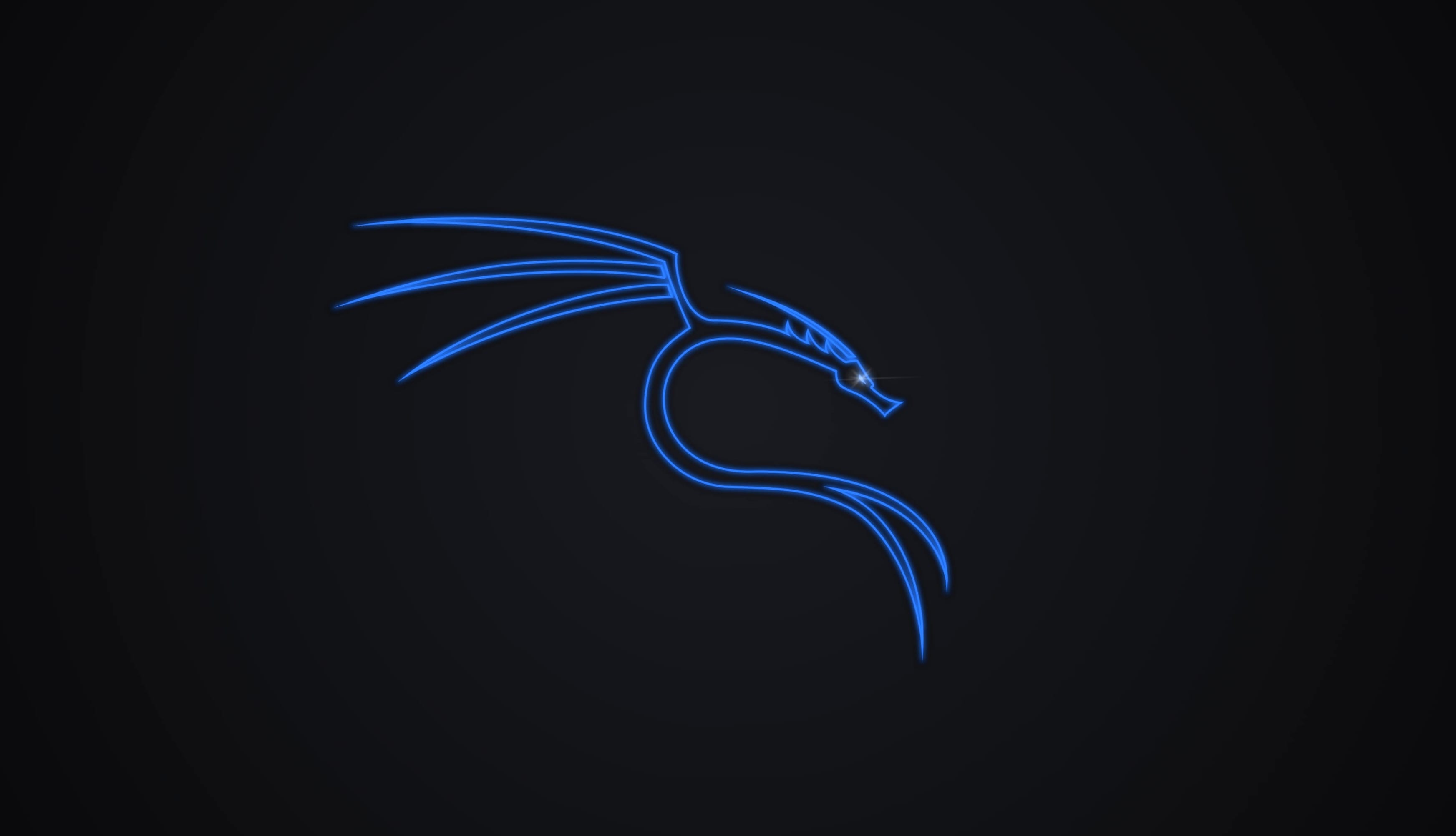 Kali Linux Dragon - HD Technology Wallpaper at 2048 x 2048 iPad size wallpapers HD quality