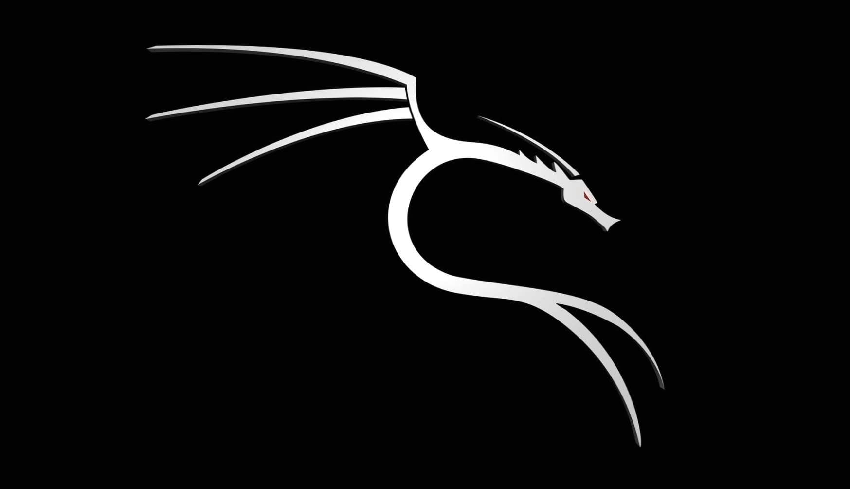 Kali Linux Hacker wallpapers HD quality